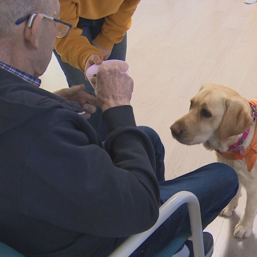 Logroño - Dejando huella - 24/02/26