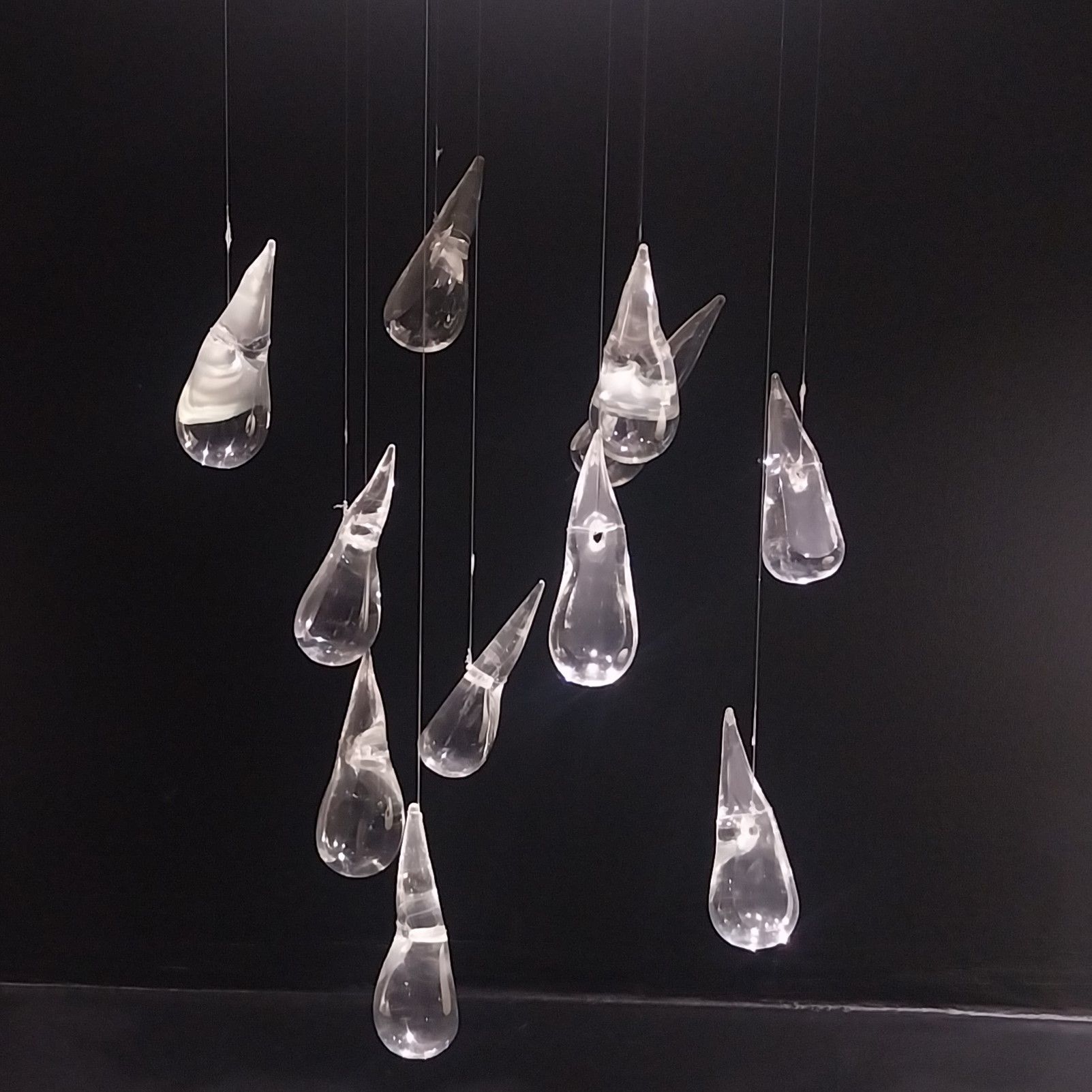 Escribano Palustre - Luces que molestan - 30/06/25