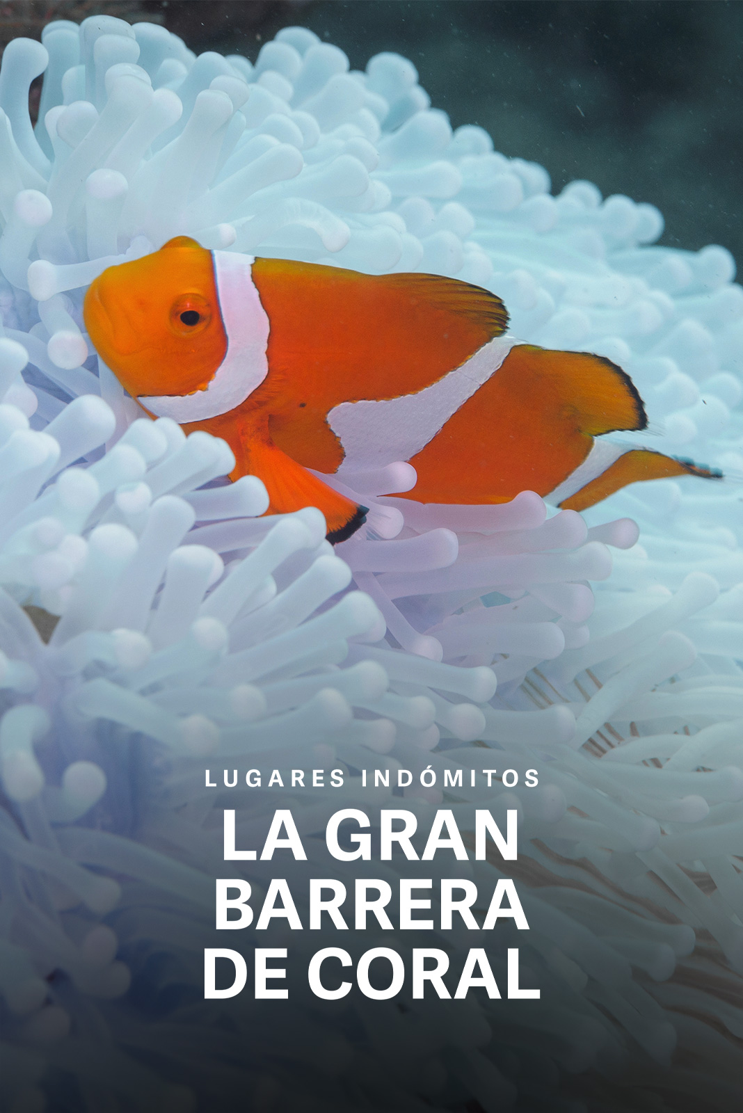 Lugares indómitos. La gran barrera de coral