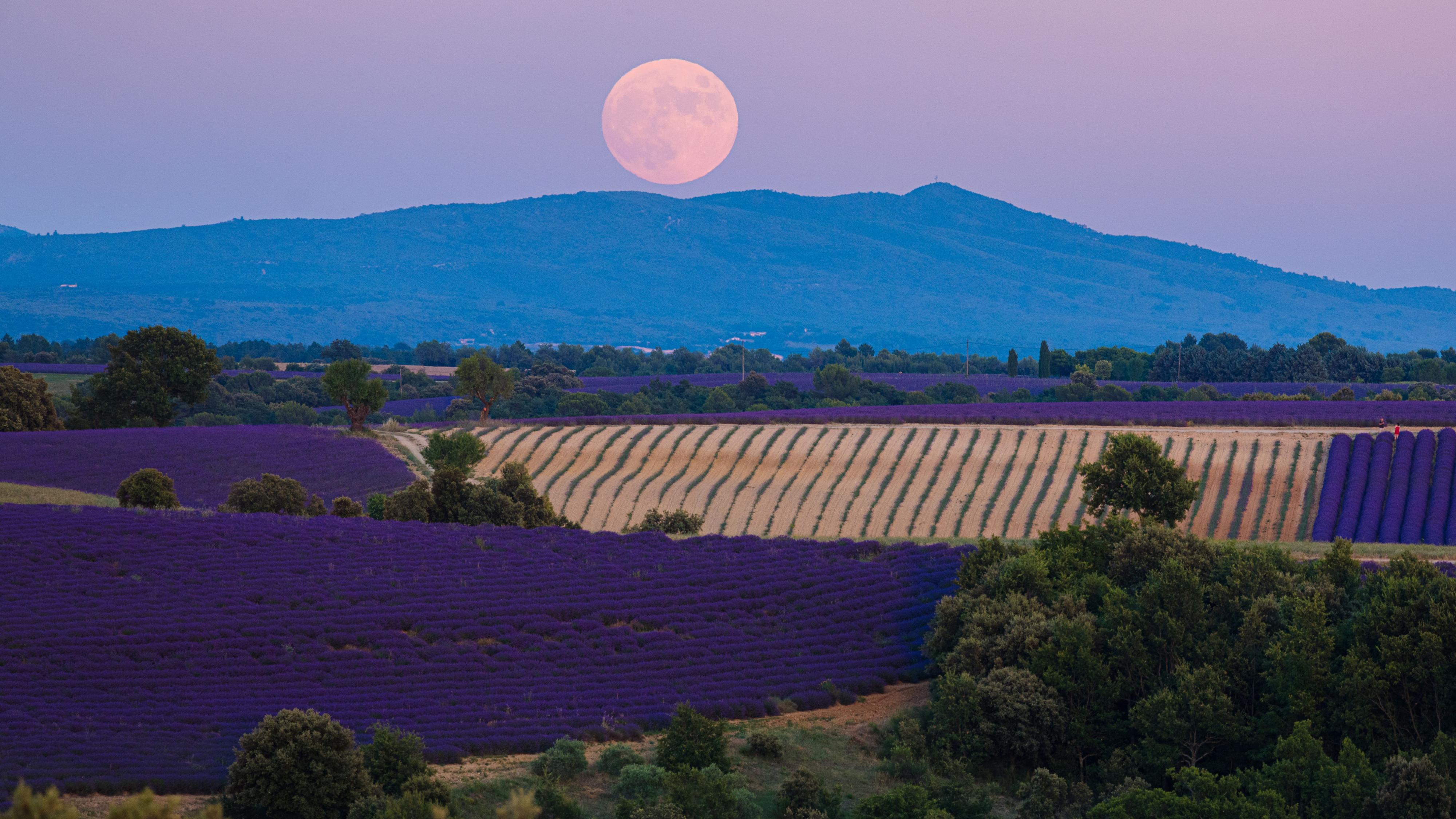 Luna llena mayo 2024 cuándo es y cómo ver la 'Luna de las flores'