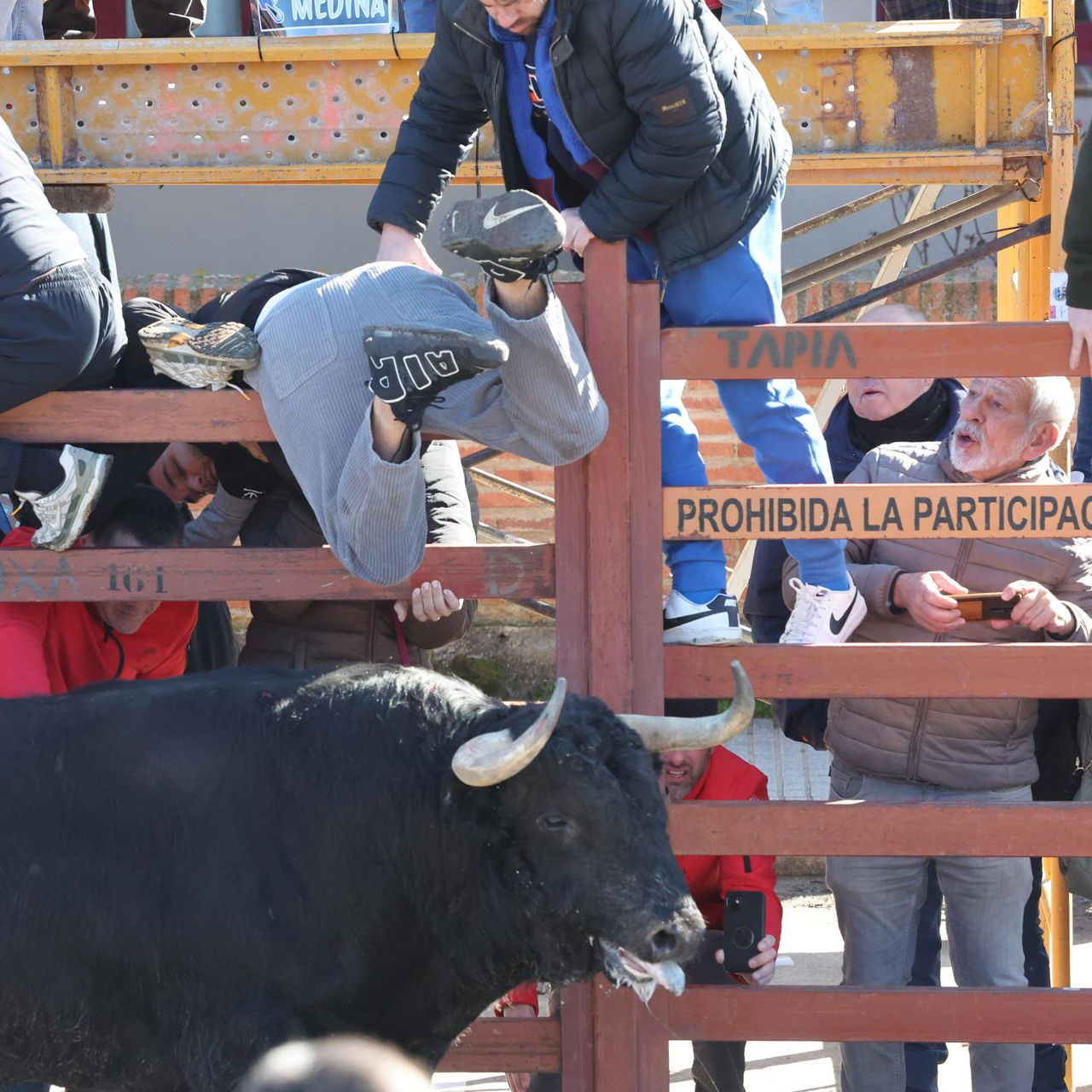 Luto en el Carnaval del Toro, entrevista a Juan Pablo Sánchez y 60 aniversario de Clarín