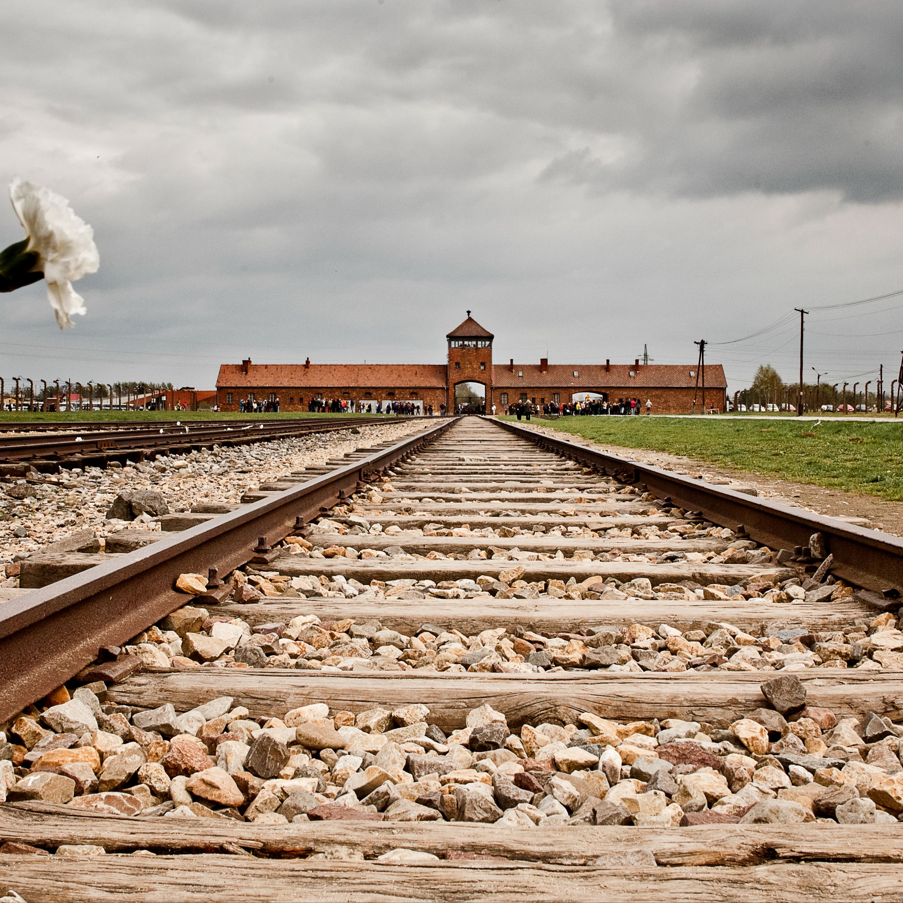 Luz de Sefarad - 01/02/26 -Memoria del Holocausto