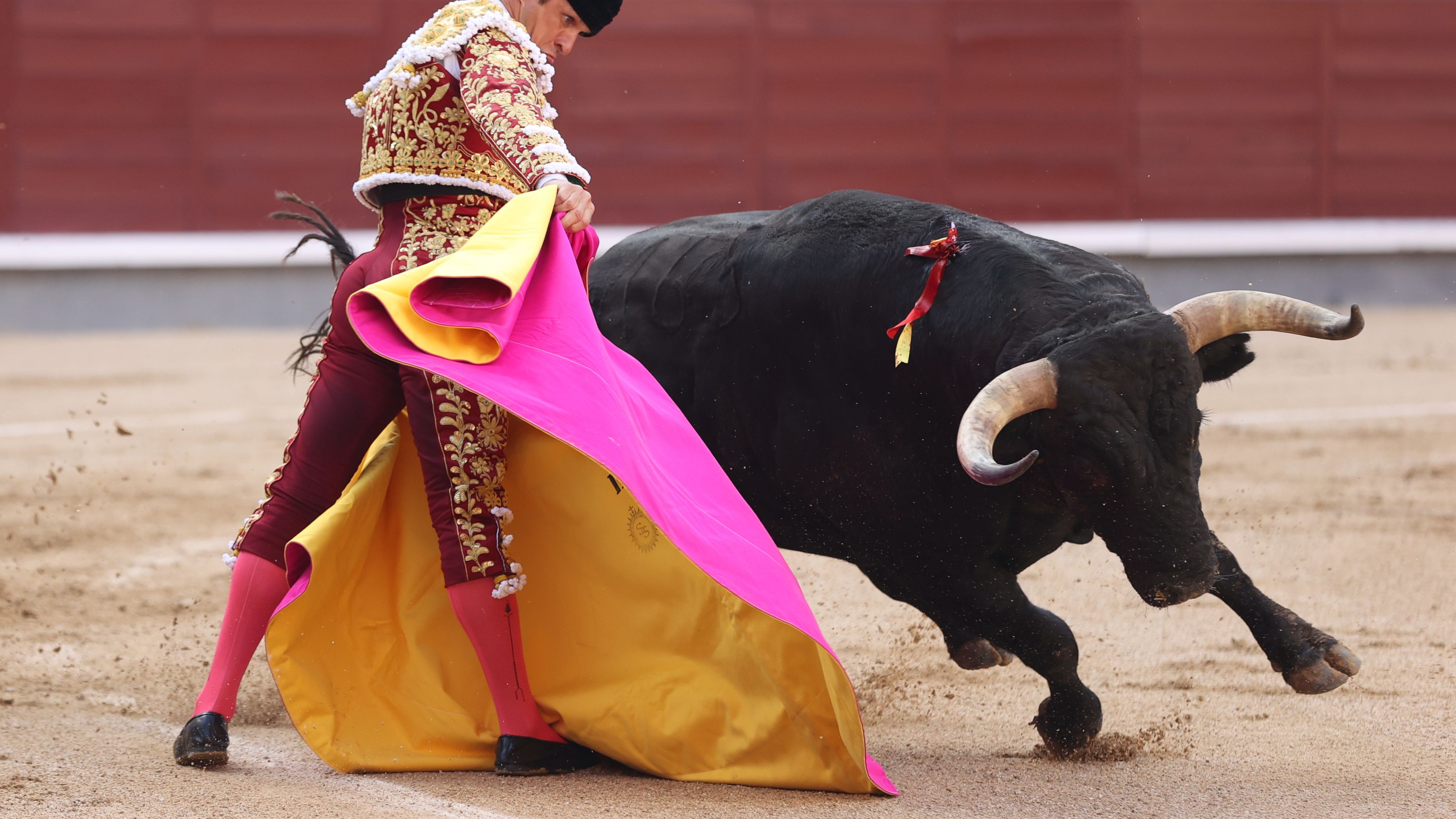 Varias comunidades autónomas crearán su premio de tauromaquia