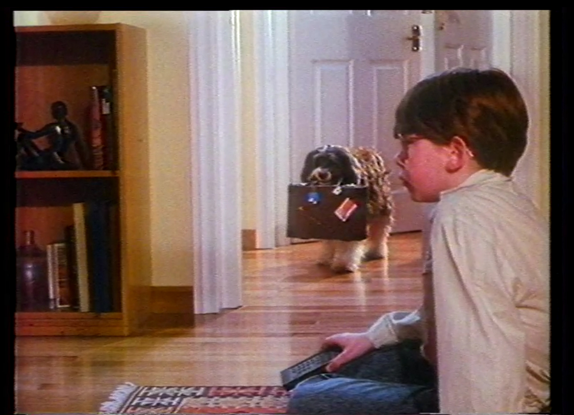 'MALETA' 1989 (TVE - Agencia: CONTRAPUNTO) MALETA 1989 (TVE - Agencia: CONTRAPUNTO).