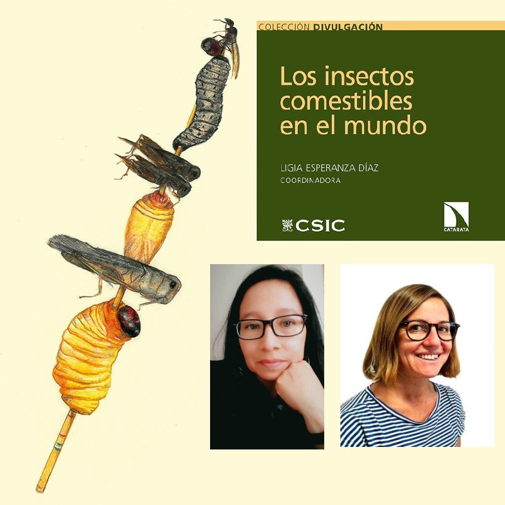 Más cerca - Insectos comestibles - 18/02/2026