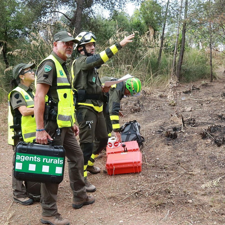 El matí de Ràdio 4 - Alerta per risc d'incendi en 51 municipis catalans: precaució amb la sega i els petards! episode artwork