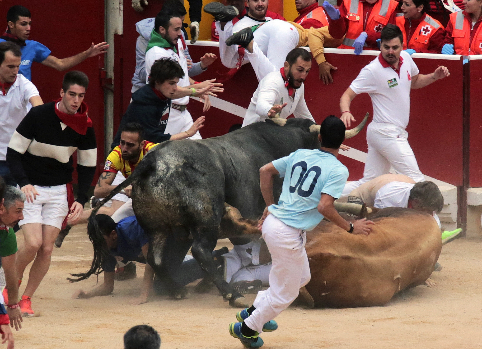 El mayor peligro se ha vivido en la plaza de toros MIURA CIERRA LOS SANFERMINES CON UN ENCIERRO RÁPIDO Y PELIGRO EN LA PLAZA
