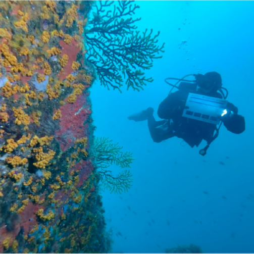 Planeta vivo - Mediterráneo tropicalizado - 02/07/25