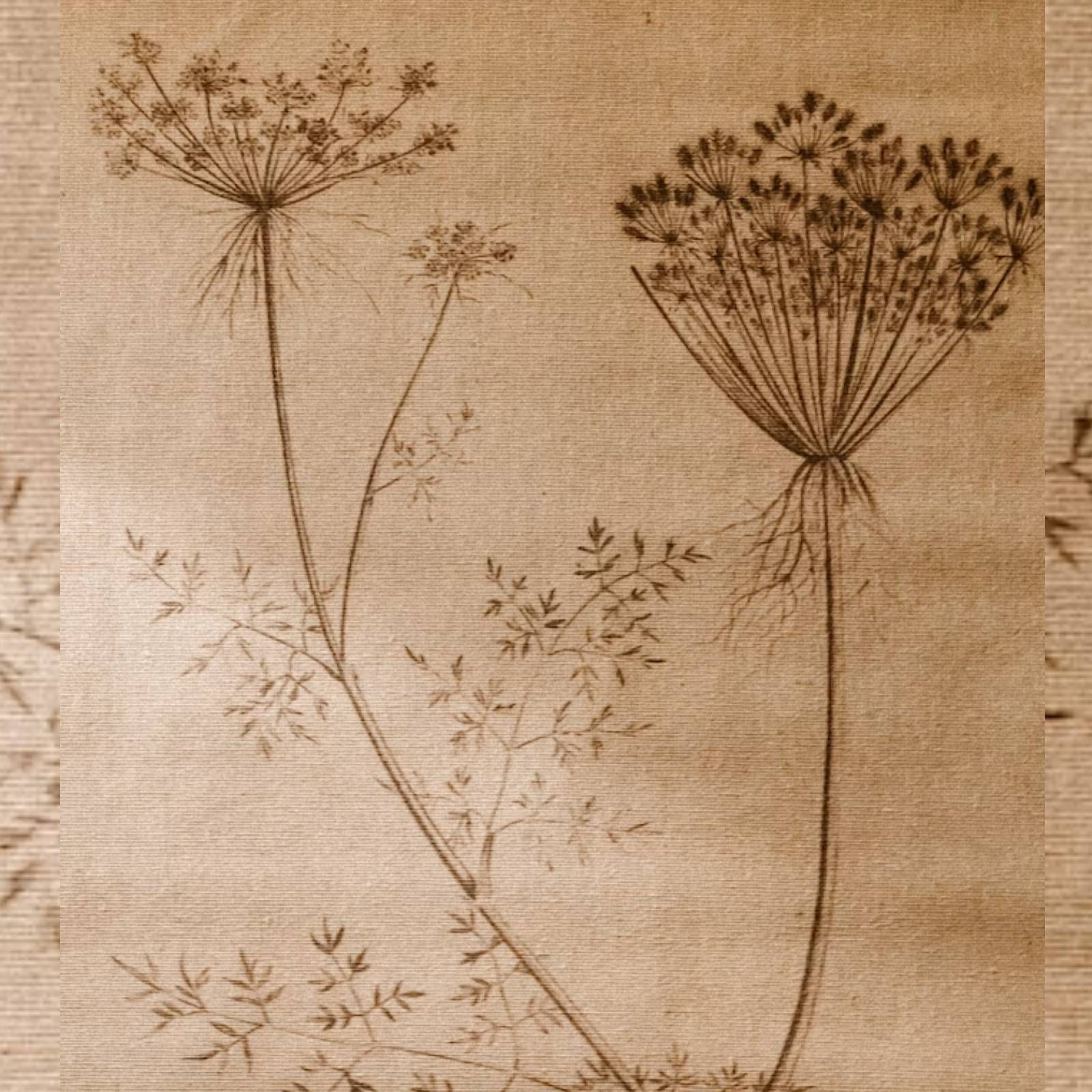 Músicas posibles - Minha flor - 20/06/20 episode artwork