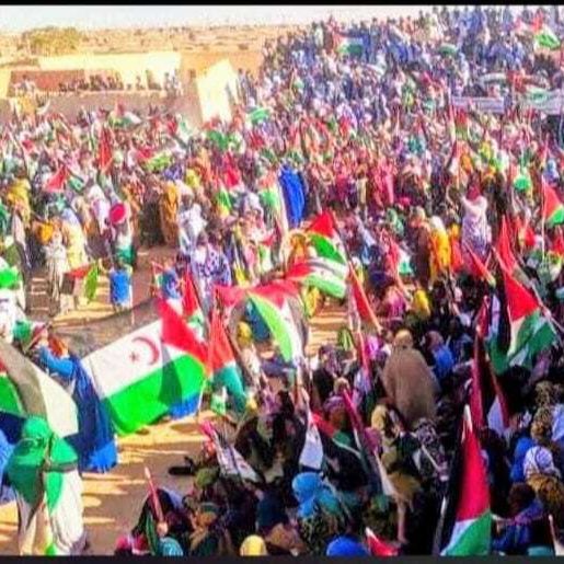 Món possible: 50 anys de l'ocupació del Sàhara Món possible: 50 anys de l'ocupació del Sàhara