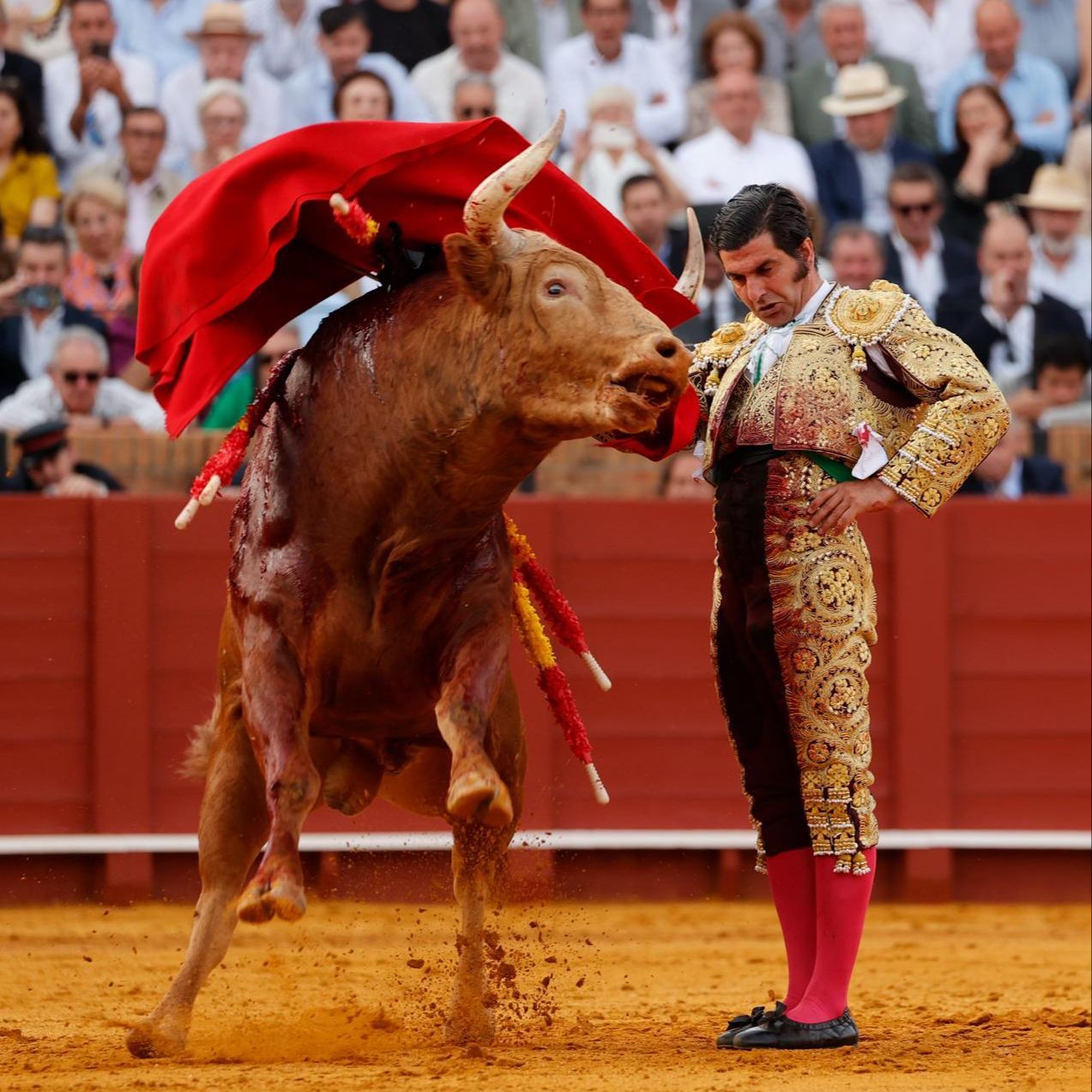 Morante abre la Puerta Grande de Jerez y entrevistas a Fernando Adrián y a Álvaro Serrano