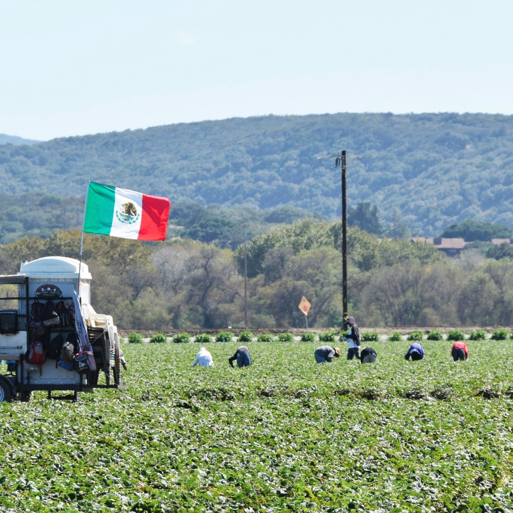 Mundo rural - Acuerdo México - Unión Europea