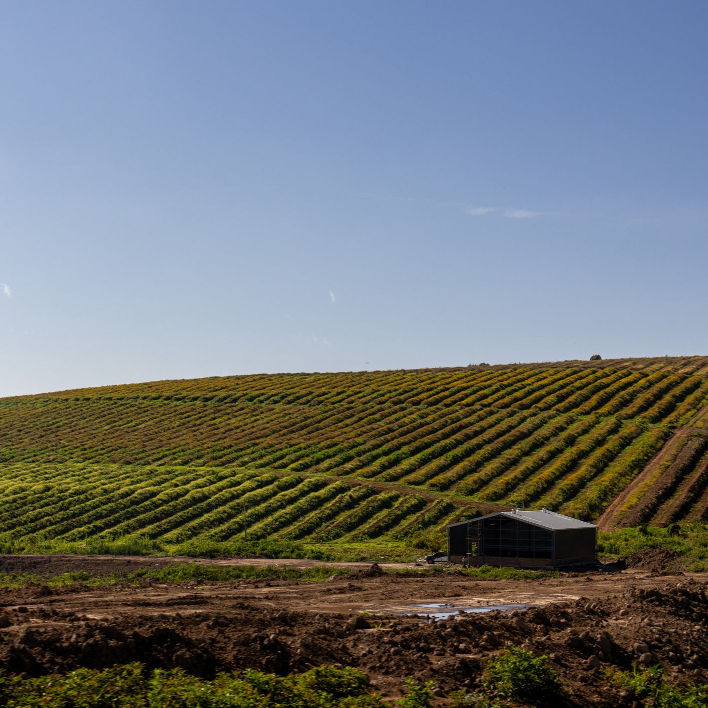 Mundo rural - Asignación de derechos de la reserva nacional en 2025