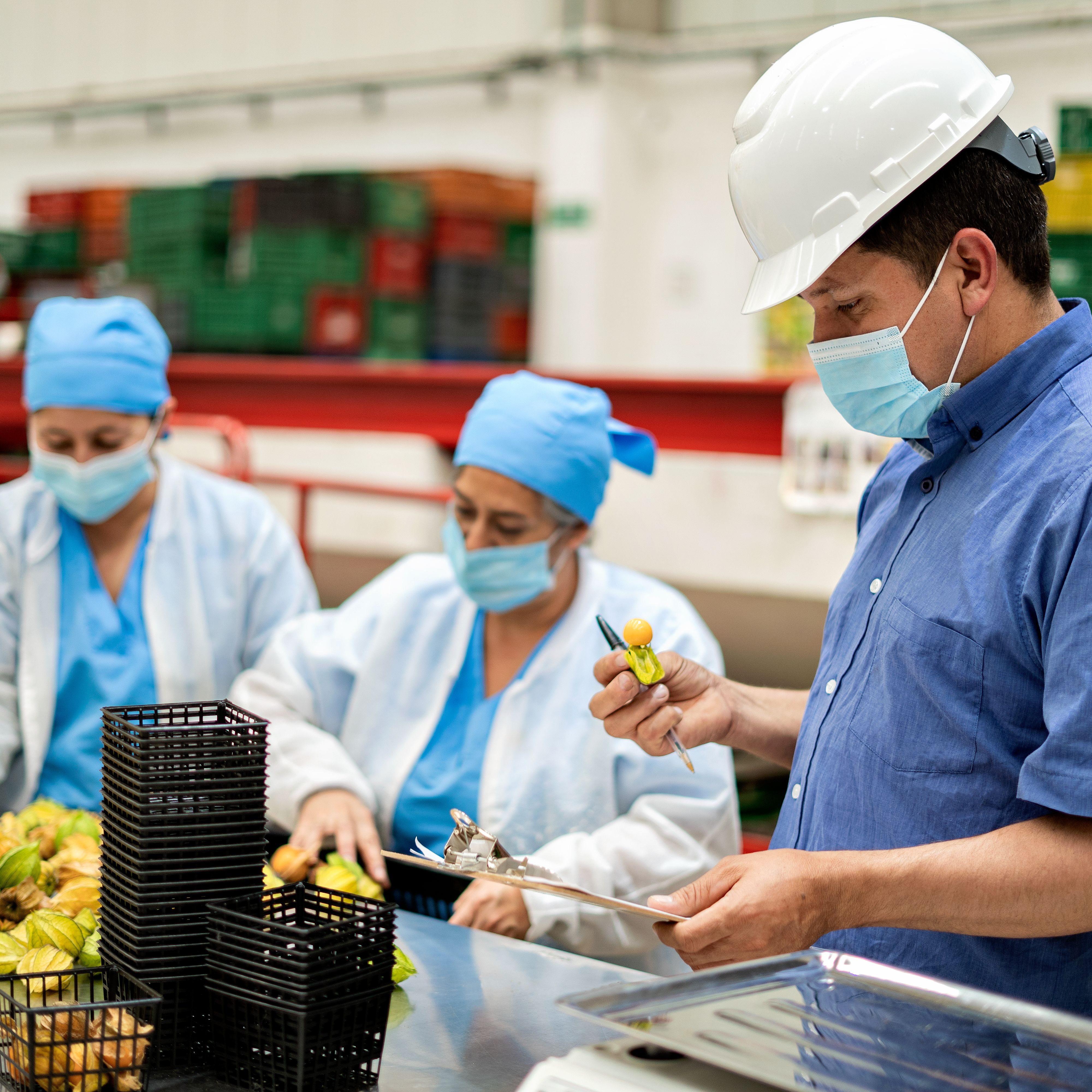 Mundo rural - Ayudas al sector primario en el Plan anticrisis - 25/03/26