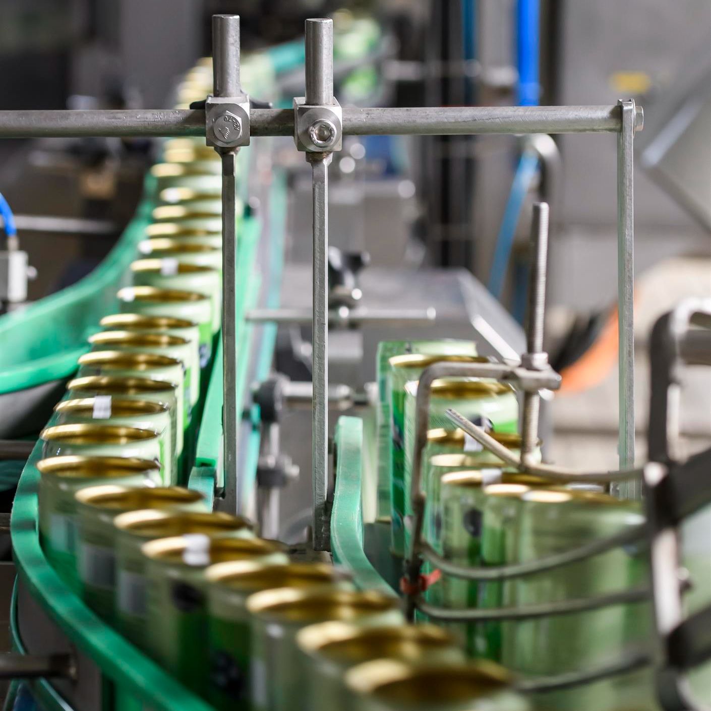 Mundo rural - Campaña de la aceituna de mesa - 19/11/25