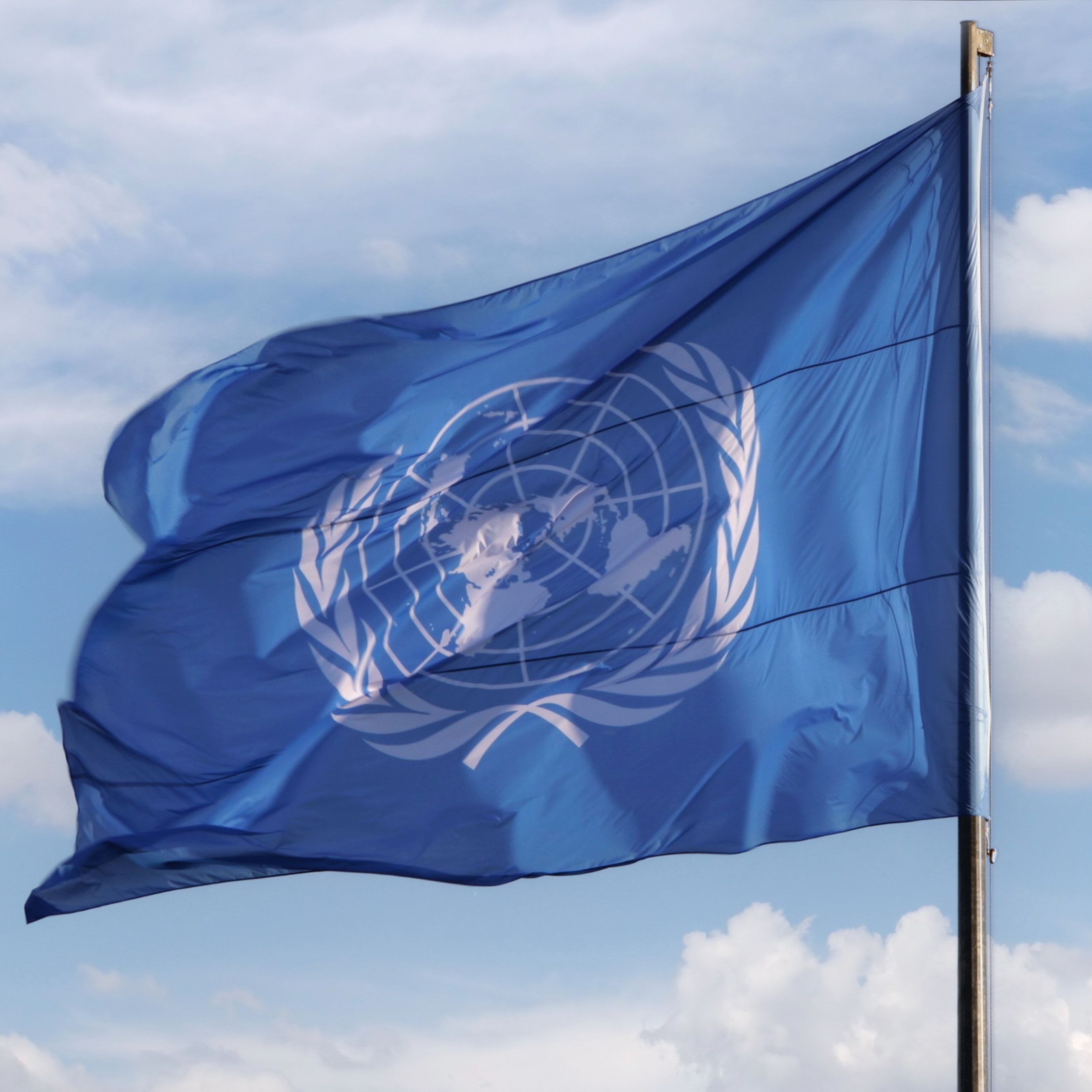 Mundo rural - Candidaturas españolas a dirigir agencias de la ONU relacionadas con la alimentación - 29/05/26