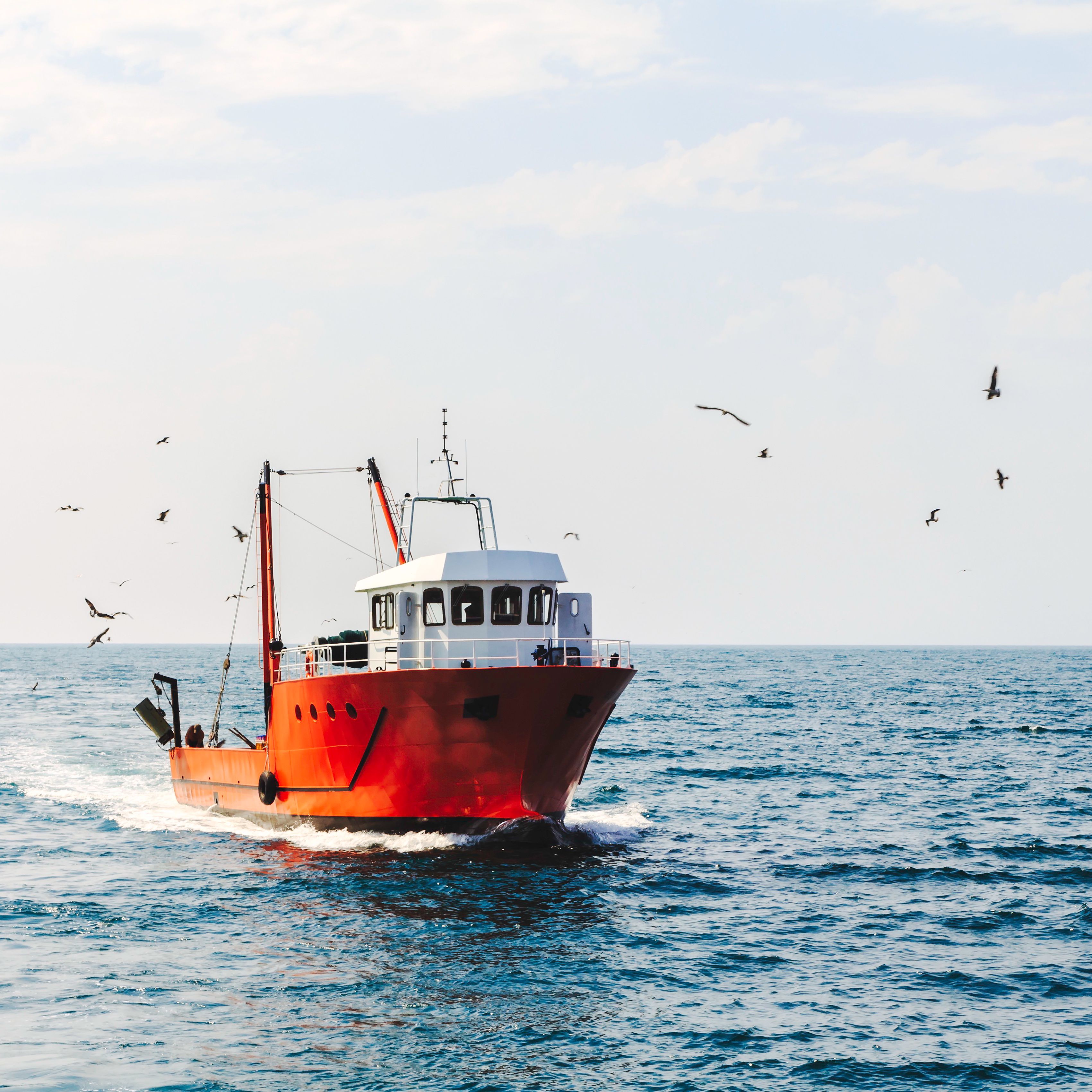 Mundo rural - Consejo de Ministros de pesca de la UE - 08/05/26