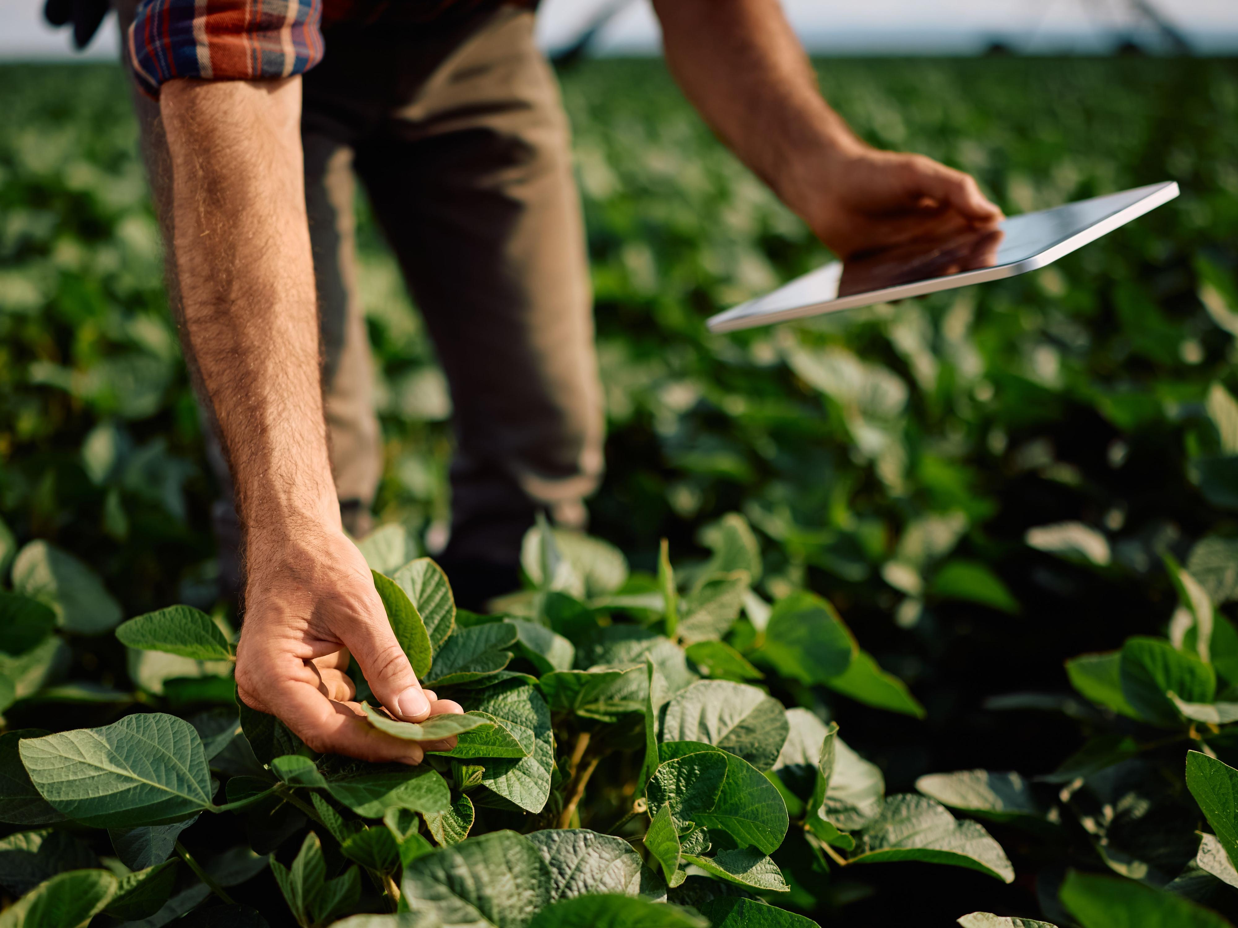 Mundo rural - Encarecimiento de los alimentos por la Guerra de Irán - 10/04/26