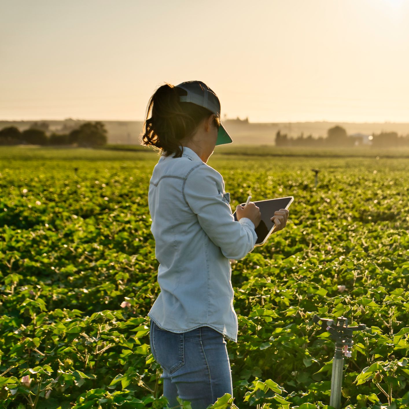 Mundo rural - Formación para incorporar al sector agroalimentario a las mujeres - 08/10/25