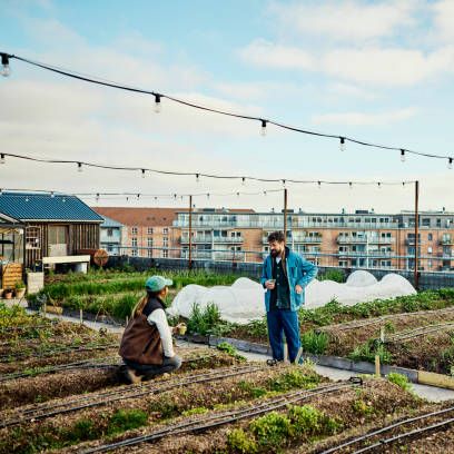 Mundo rural - Impulso a los huertos periurbanos - 17/04/26
