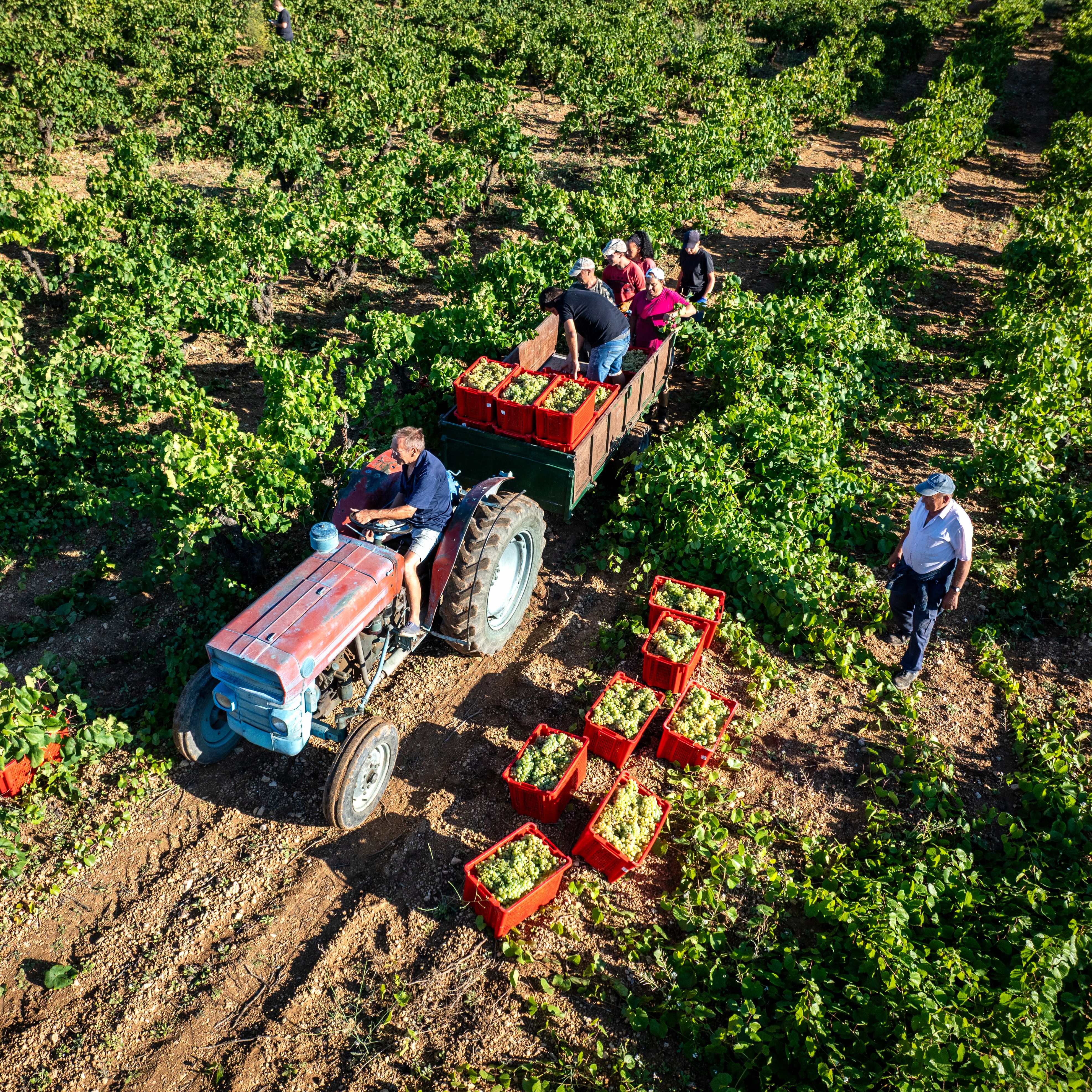 Mundo rural - PAC: Ayudas al campo por la crisis de la guerra - 30/03/26