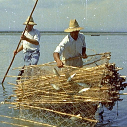 Mundo rural - PAC: ayudas de la dana - 15/12/25 Mundo rural - PAC: ayudas de la dana - 15/12/25