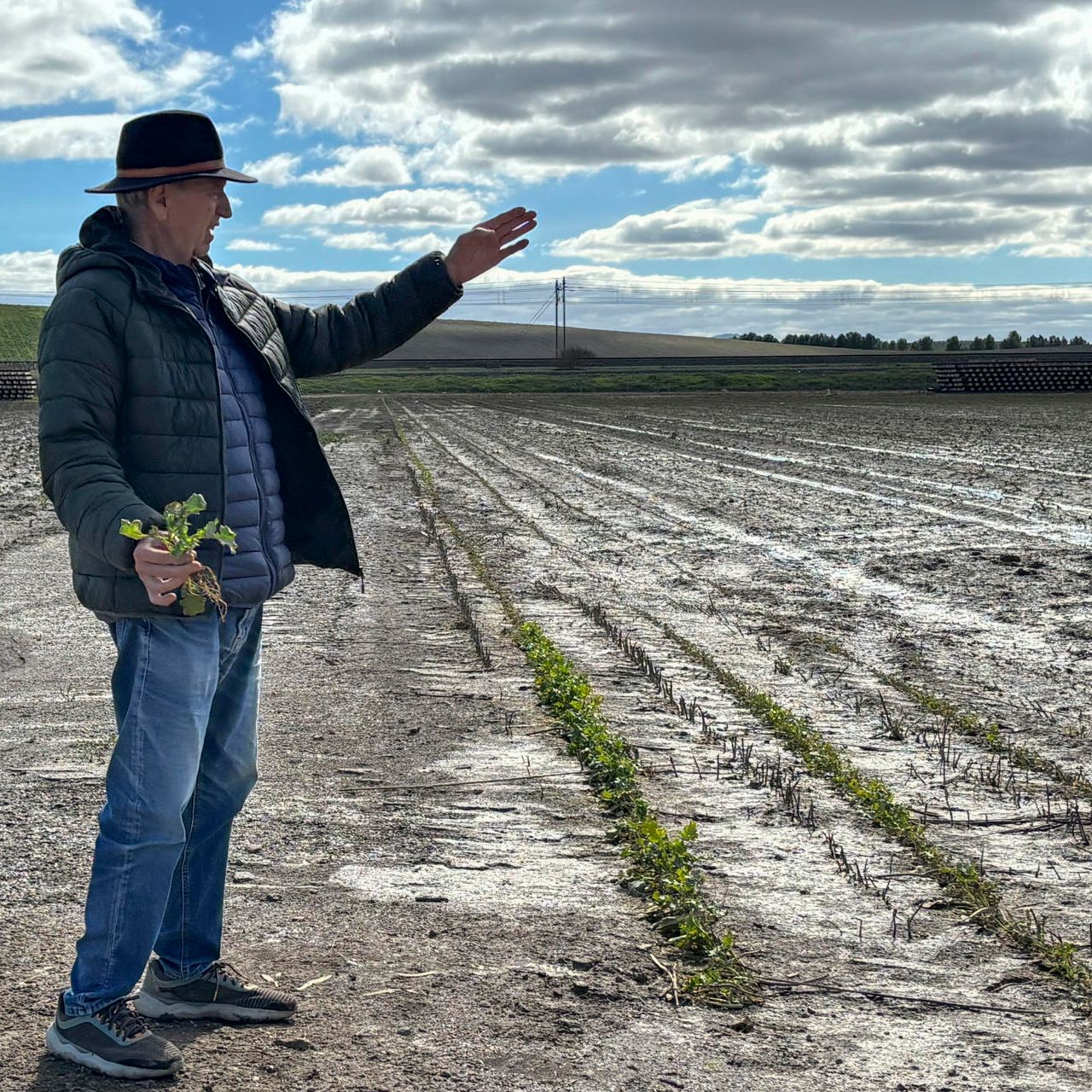 Mundo rural - PAC: Ayudas para los agricultores afectados por las borrascas - 13/04/26