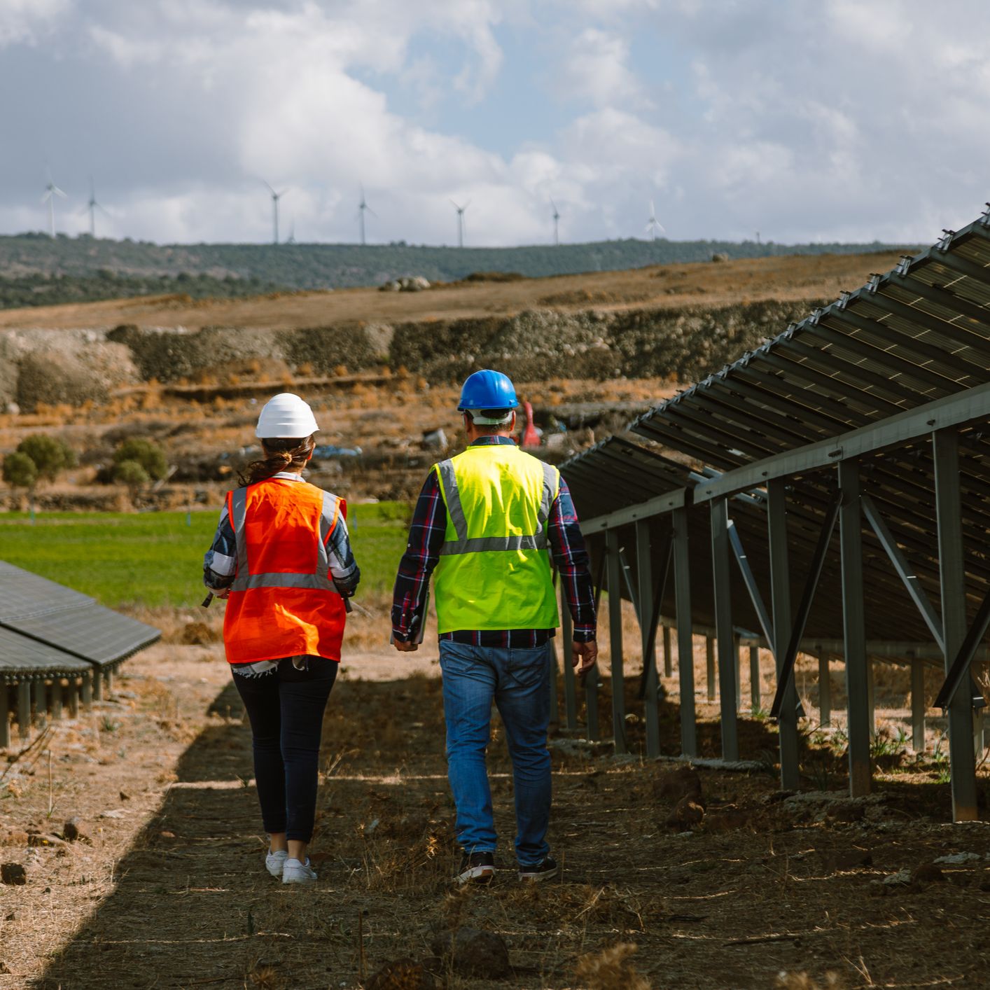 Mundo rural - PAC: Novedades - 10/11/25