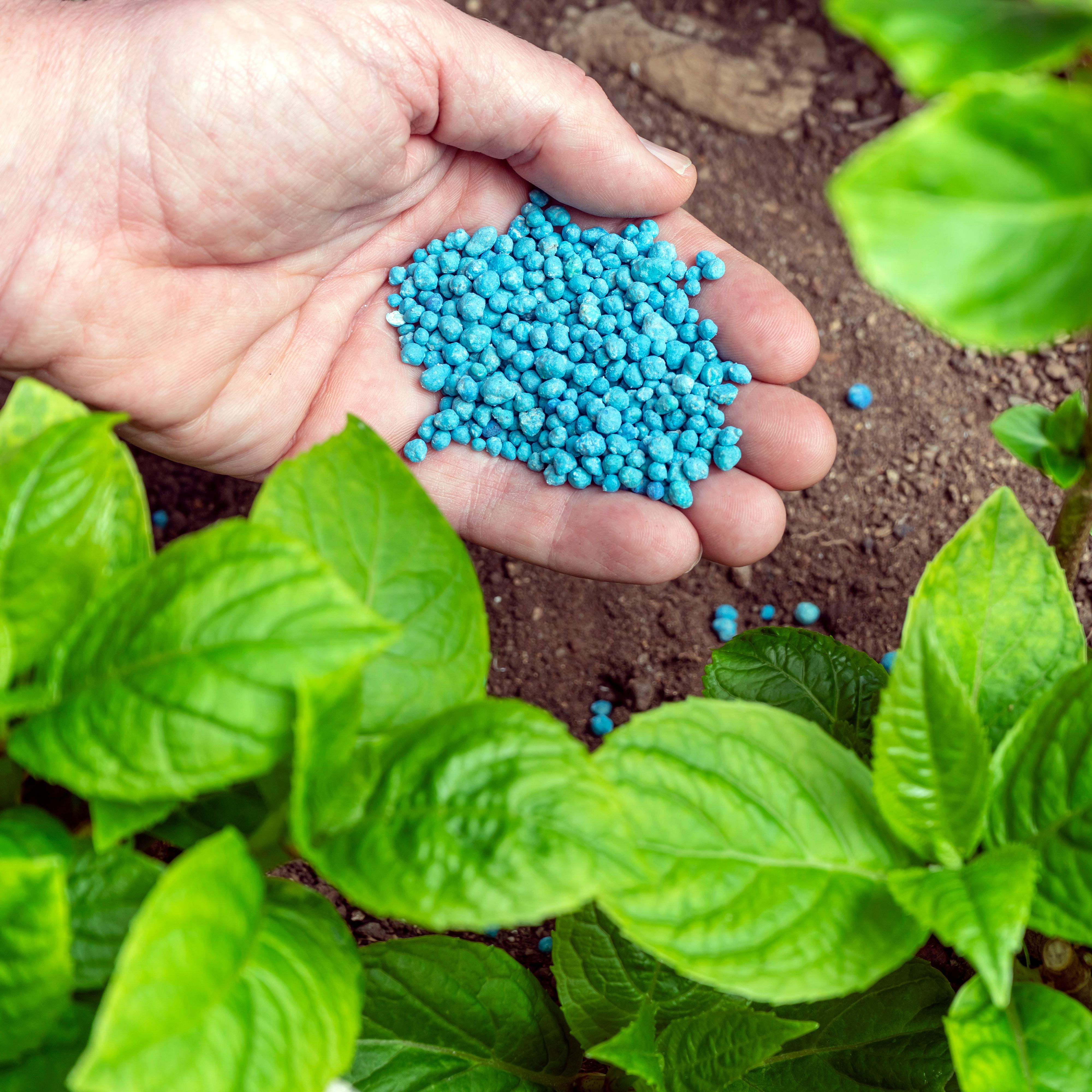 Mundo rural - Plan europeo de fertilizantes - 13/05/26