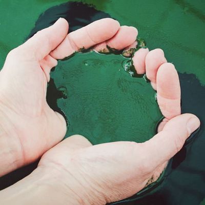 Mundo rural - Proyecto Aitana Espirulina - 12/11/25