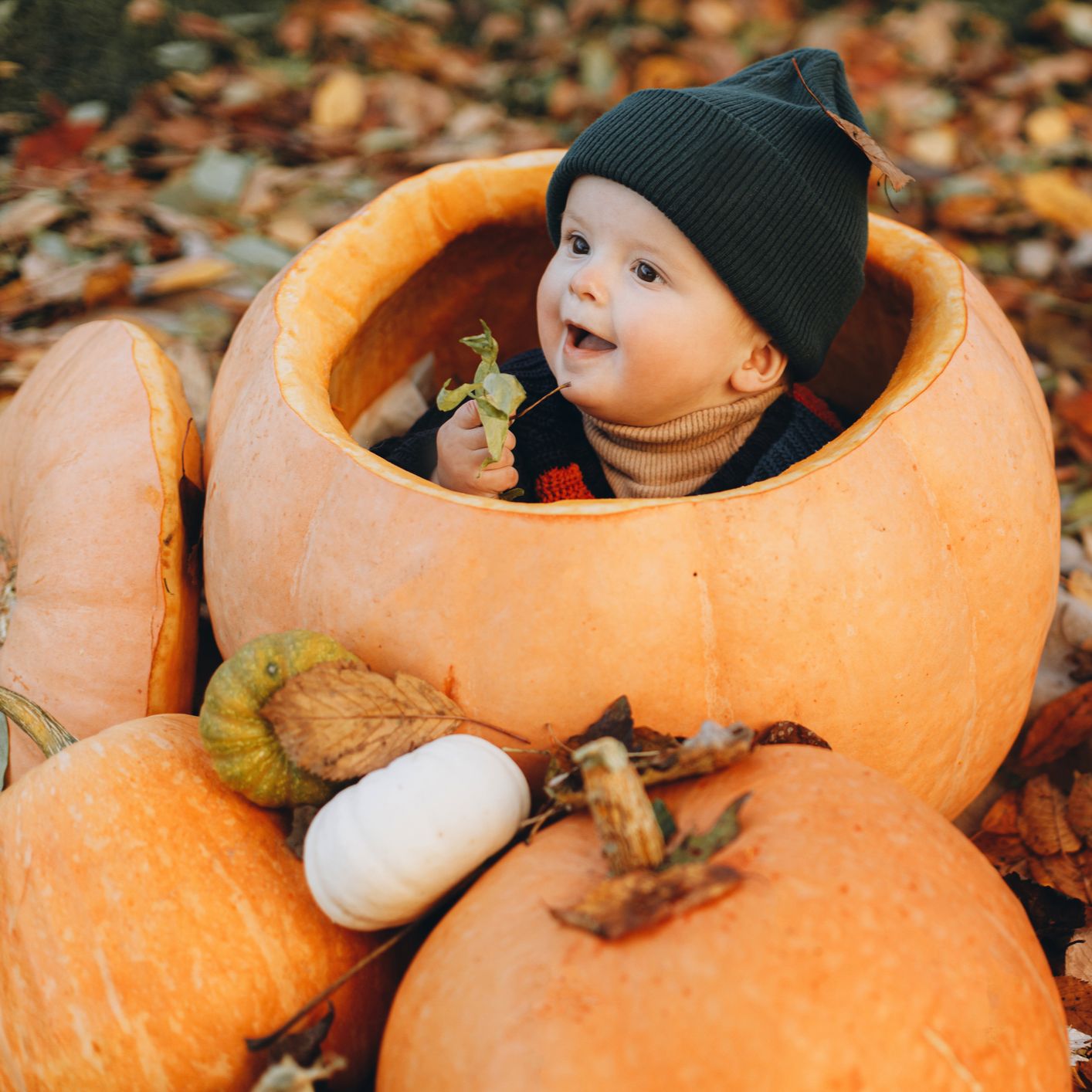 Mundo rural - Pumpkin patch - 31/10/25