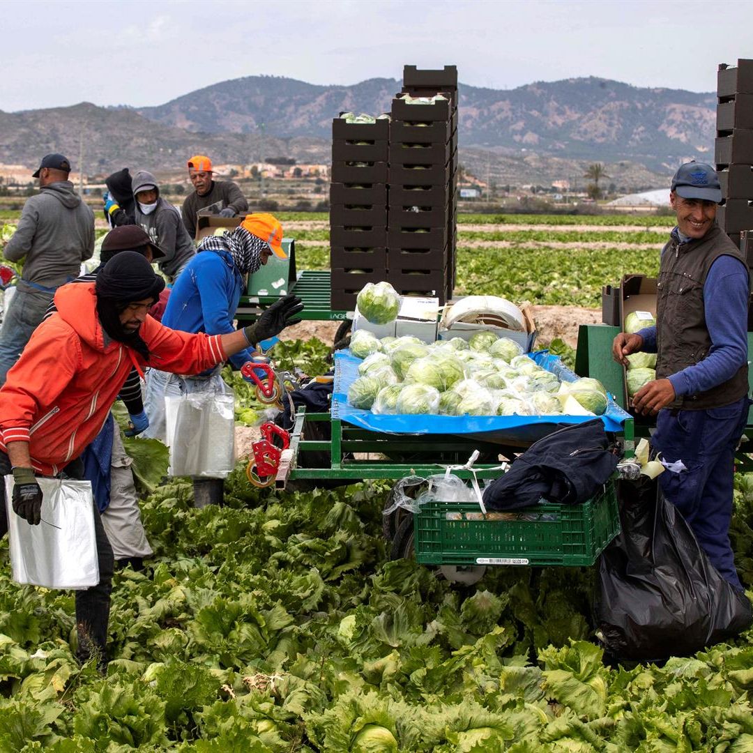 Mundo rural - Regularización de personas extranjeras y de su importancia para el campo - 30/01/26
