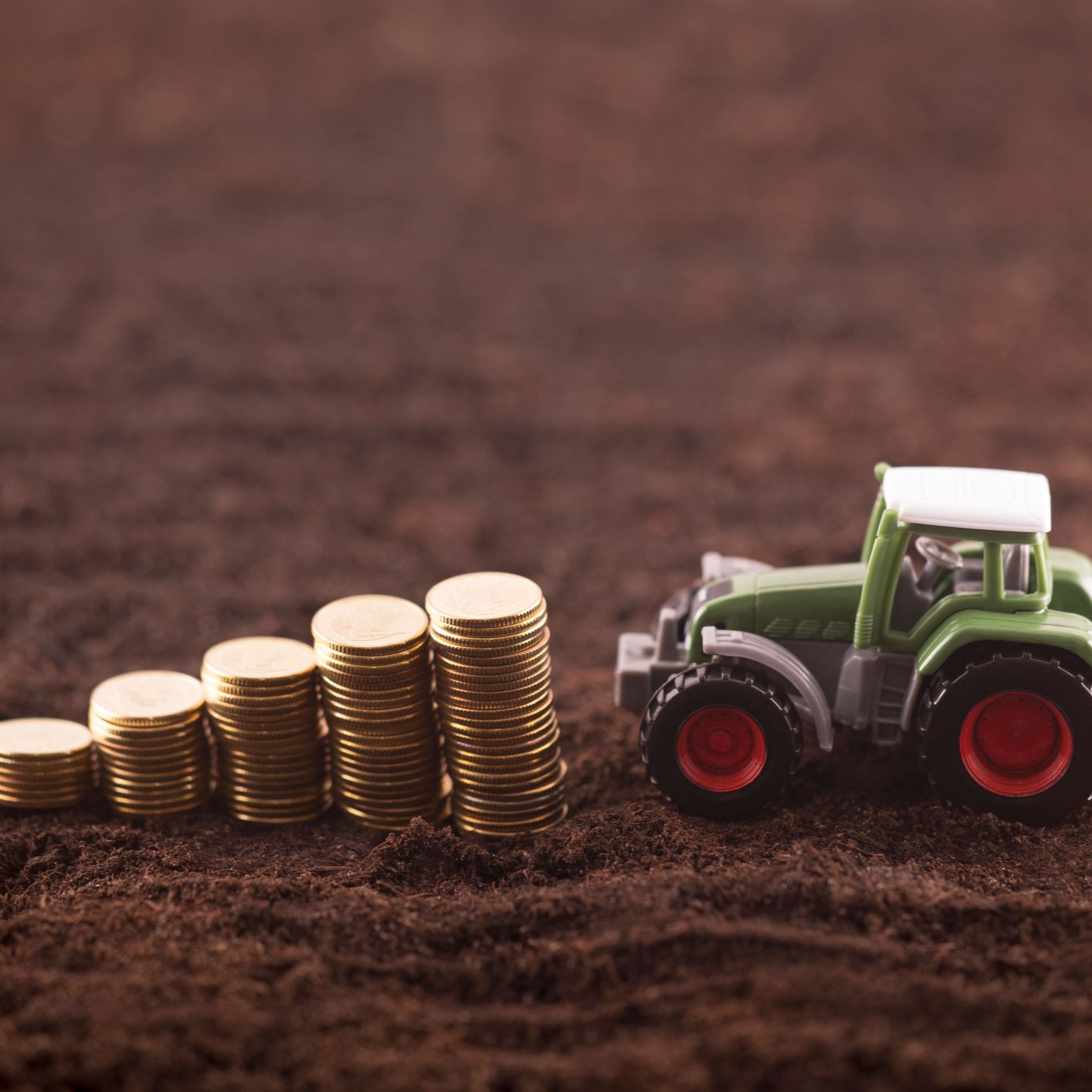 Mundo rural - SgaCap