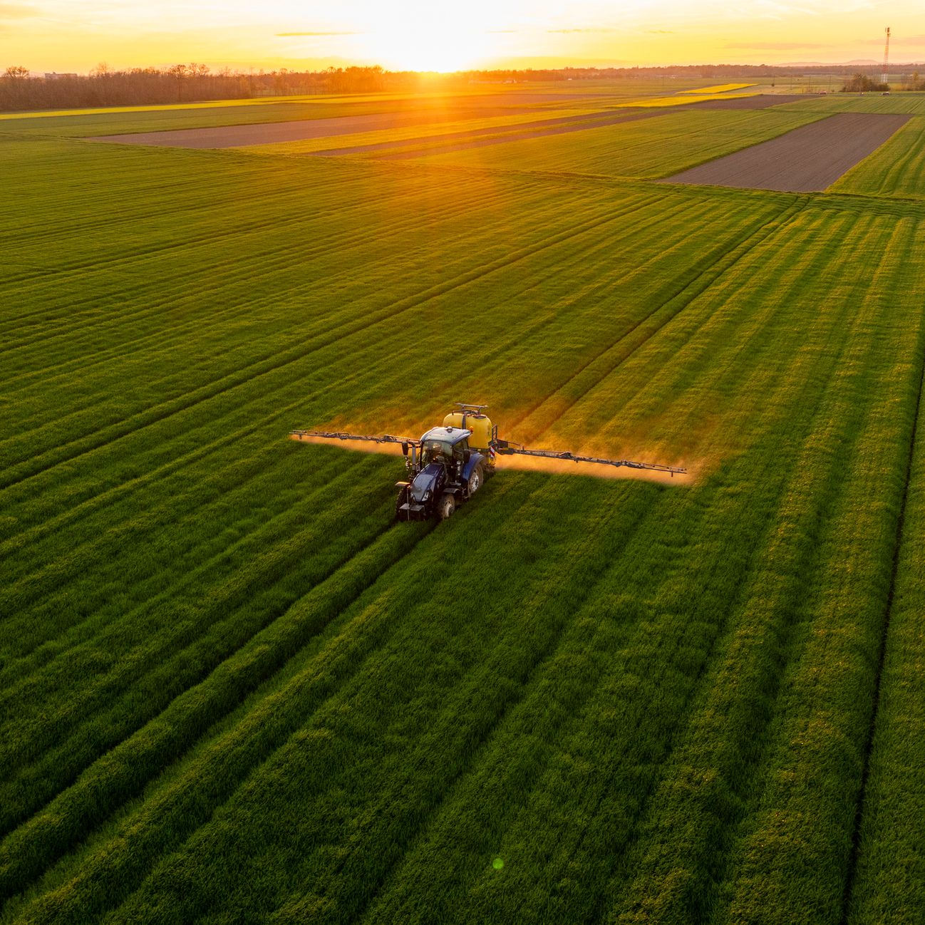 Mundo rural - Sistema de gestión de ayudas