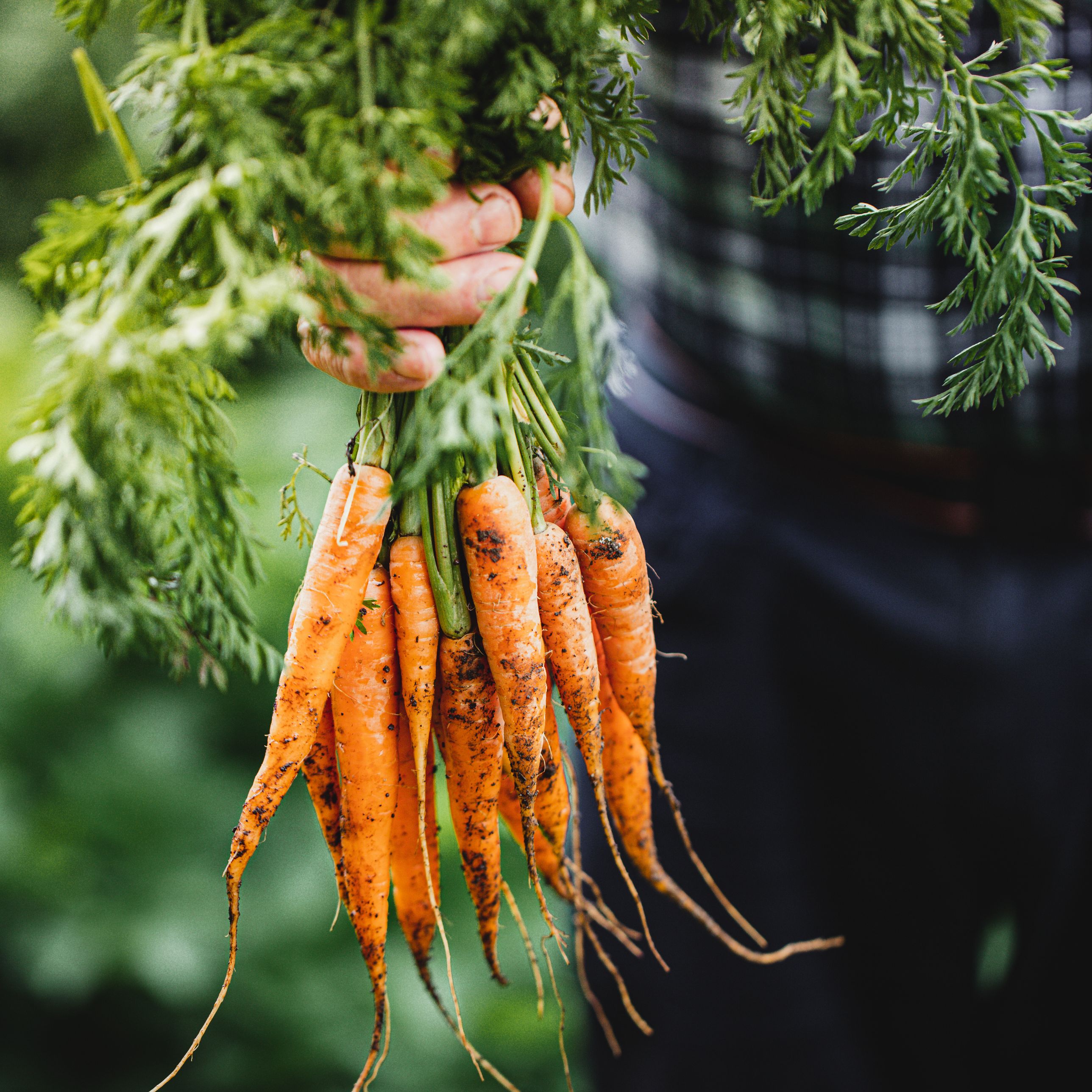 Mundo rural - Suelo rústico, cetrería y trufiturismo - 13/03/26