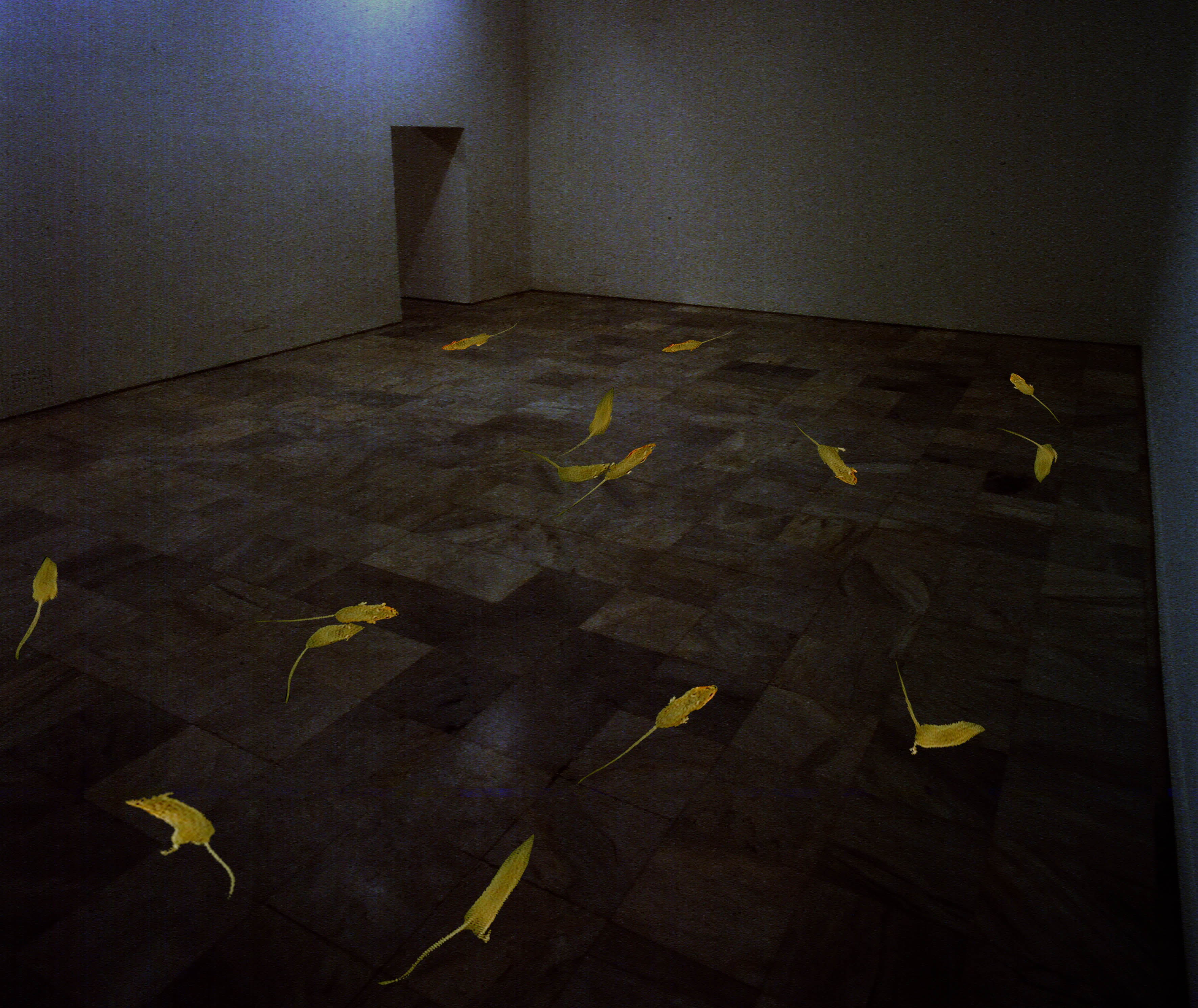 Museo Reina Sofía (1997)