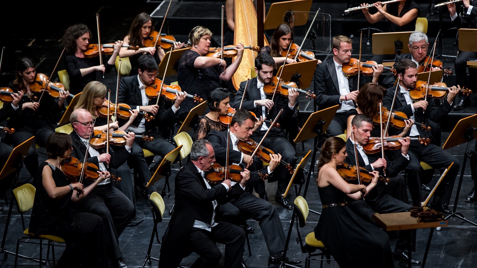 Nace El Canal De YouTube De La Orquesta Sinfónica Y Coro RTVE