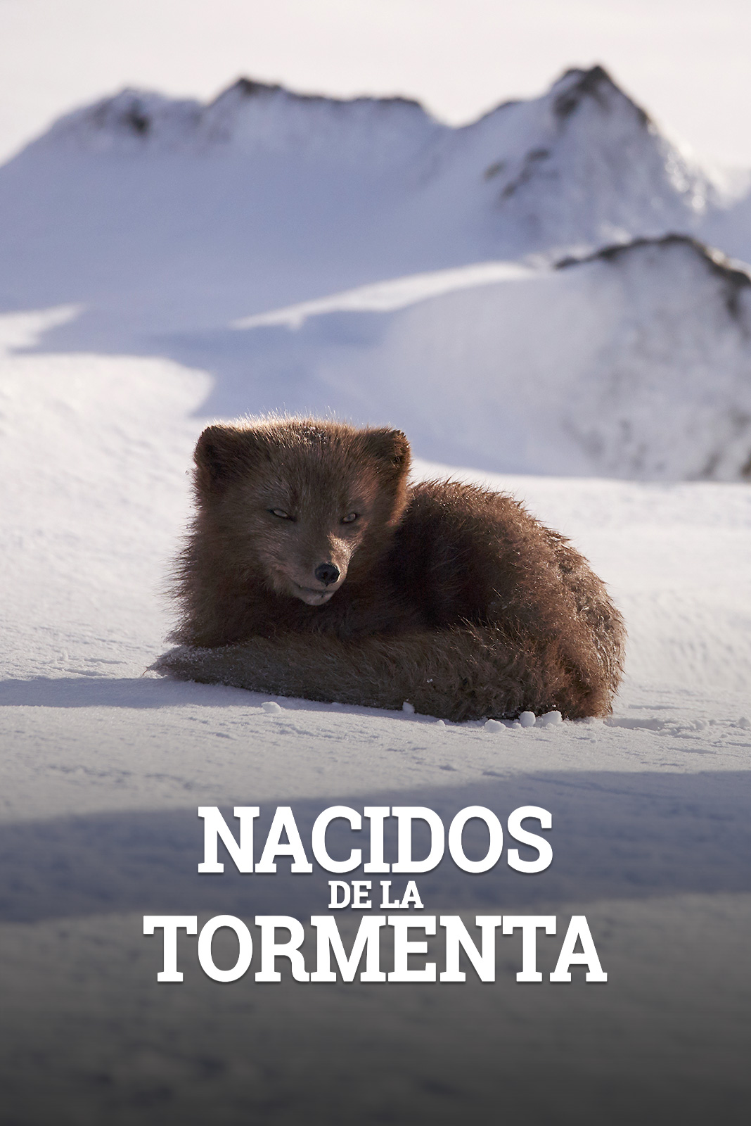 Nacidos de la tormenta