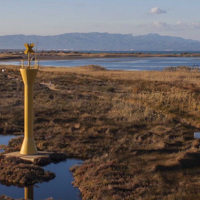 Vida Verda - La Natura no pot esperar. Monogràfics d'Actualitat Climàtica episode artwork