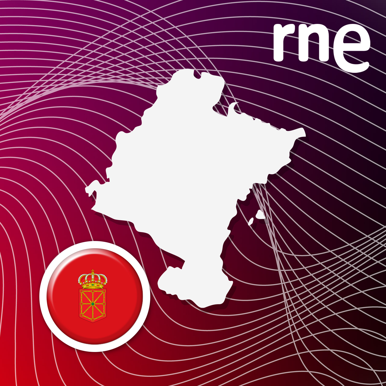 Navarra Informativos Navarra Informativos
