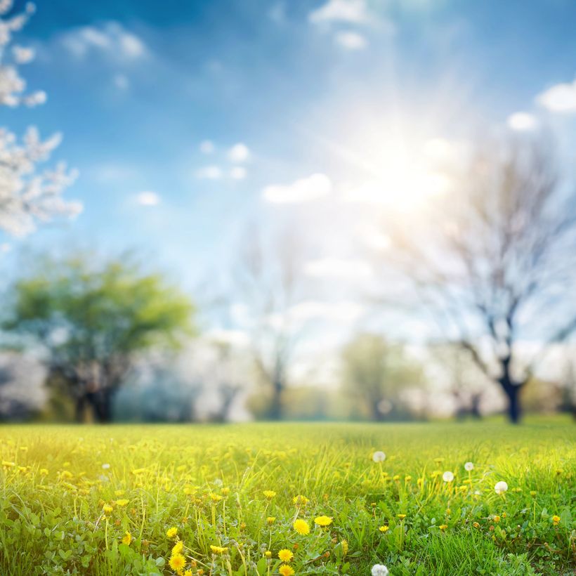 No es un día cualquiera - Del hecho al dicho