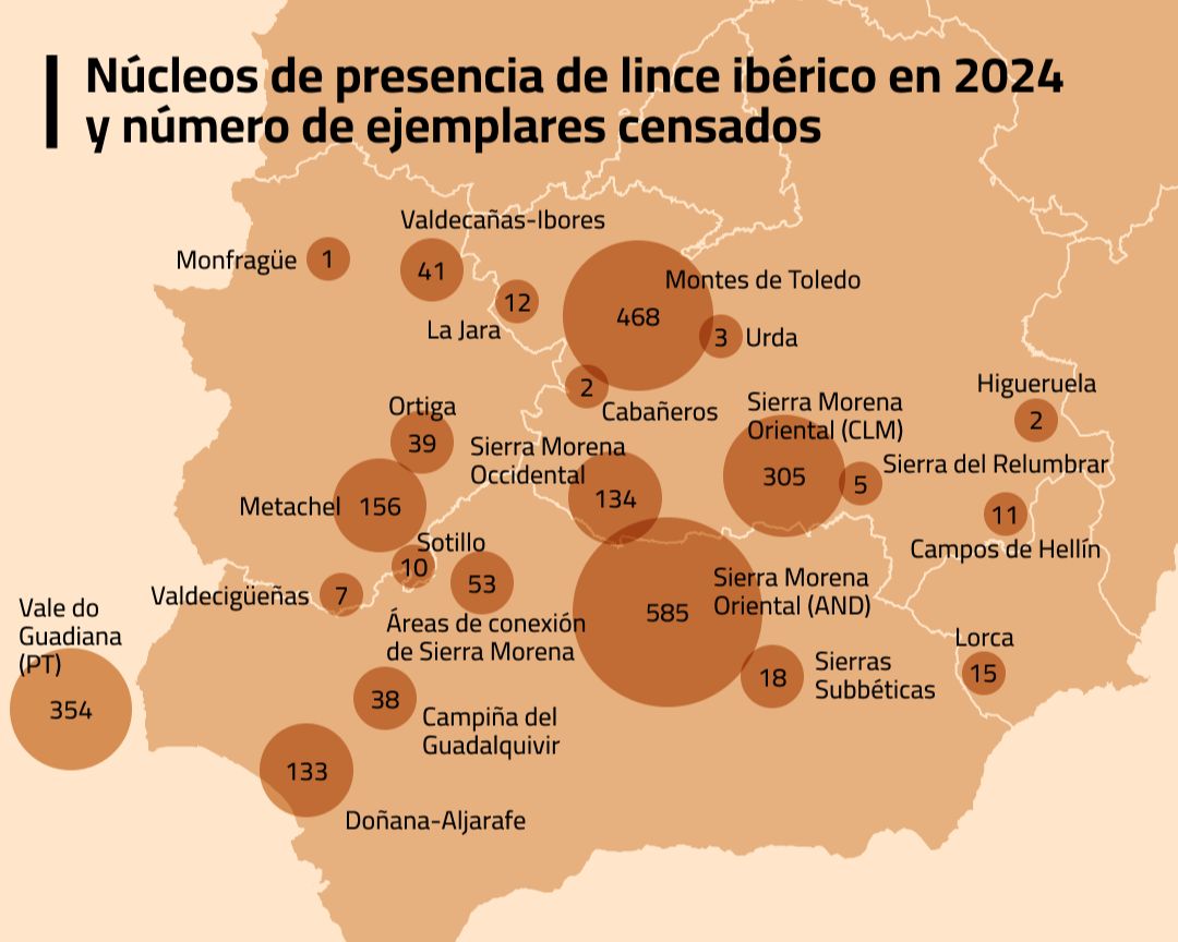 Πυρήνες παρουσίας ιβηρικού λύγκα το 2024