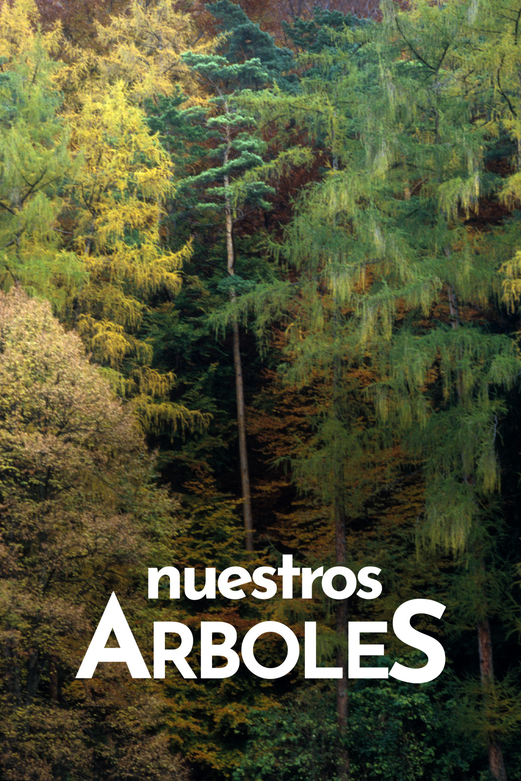 Nuestros árboles
