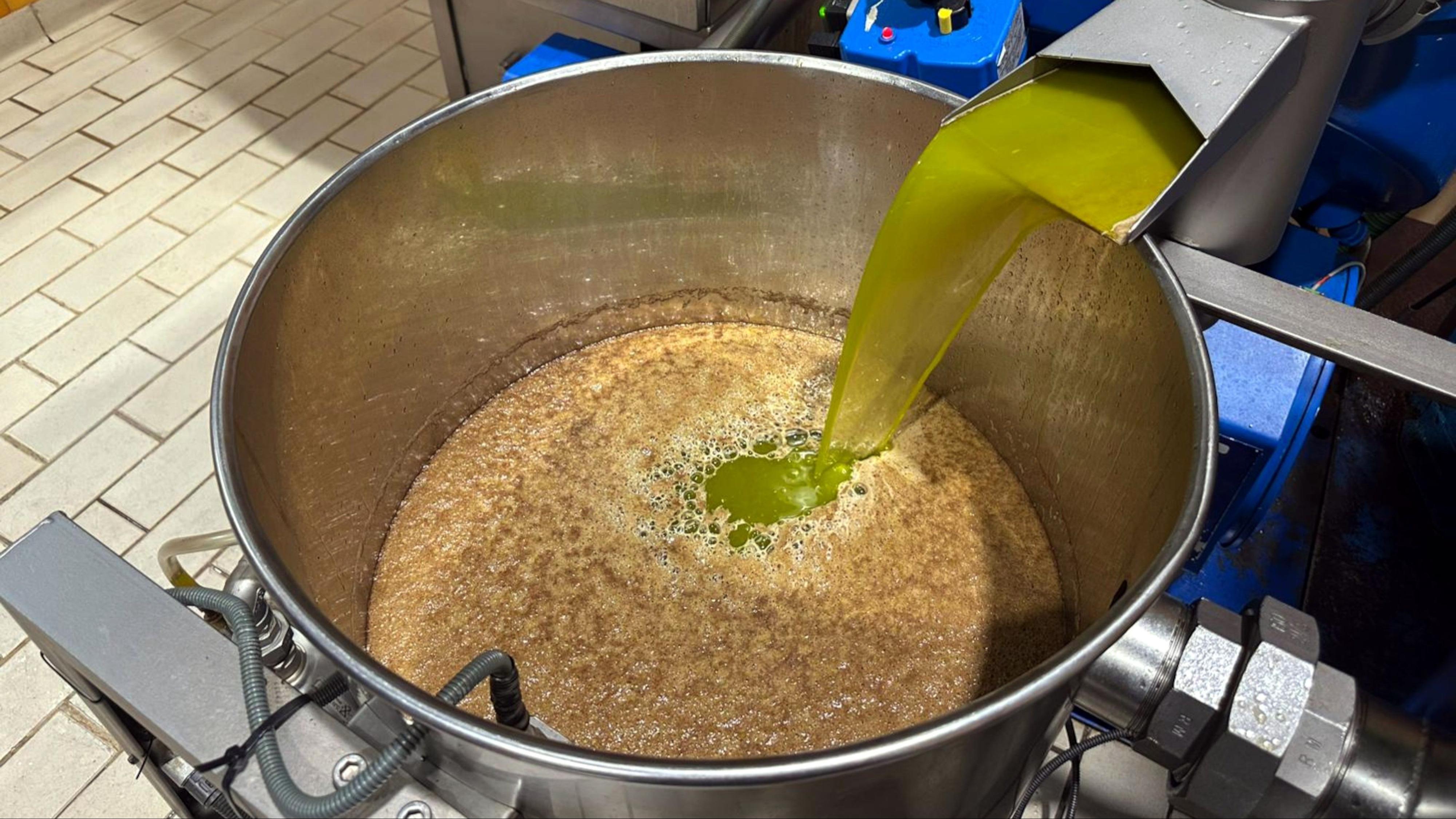 L'oli de les Garrigues arrenca campanya amb preus més baixos i vendes a l'alça