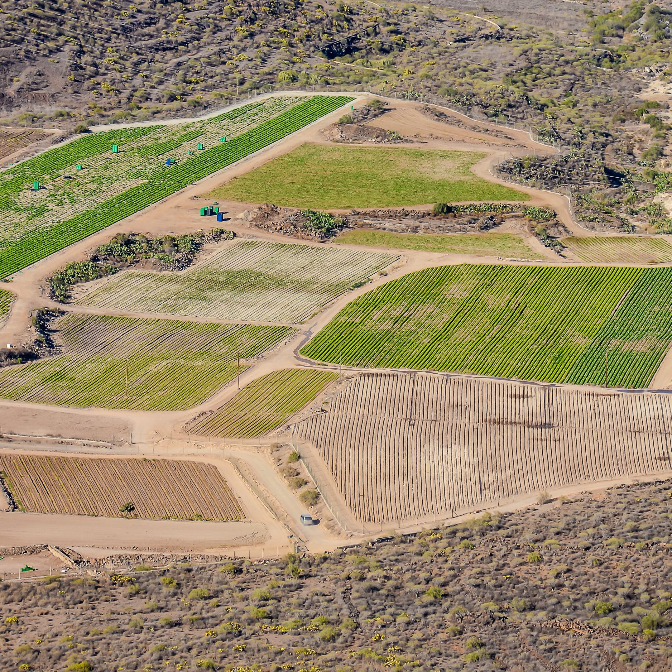 Mundo rural - PAC: Aniversario del Sigpac - 23/03/26