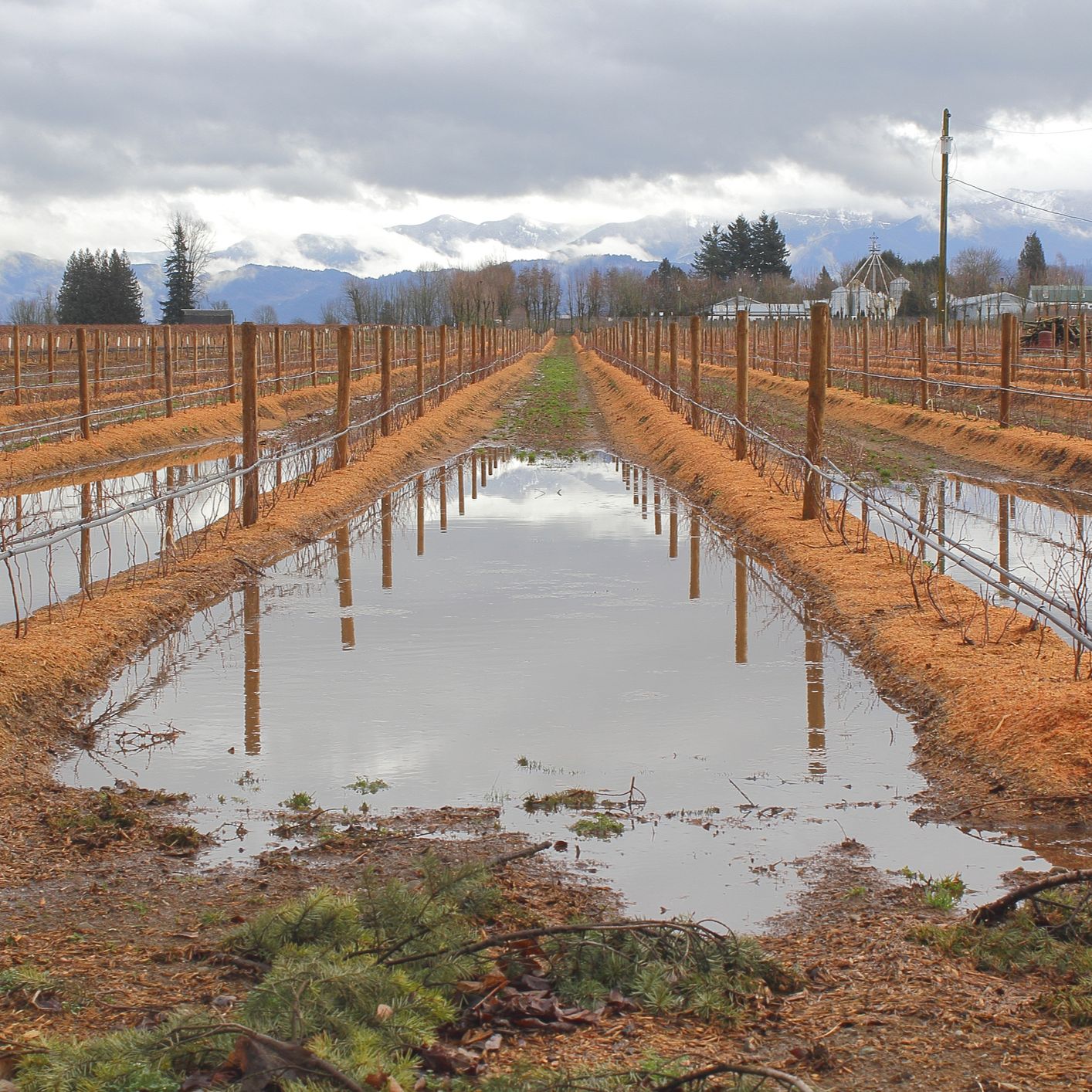 Mundo rural - PAC: Ayudas para el campo por las borrascas - 06/04/26