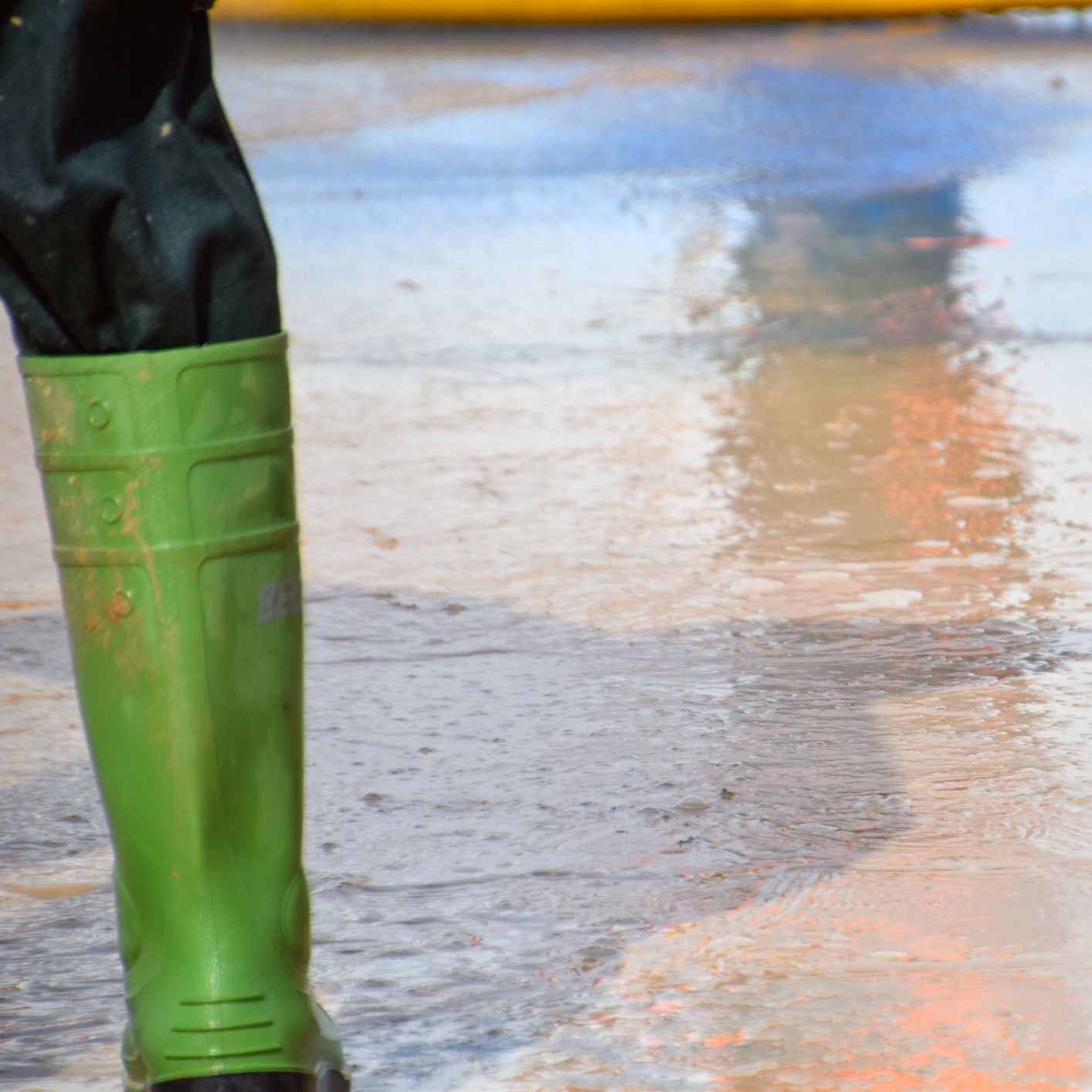 Mundo rural - PAC: nuevo pago de ayudas por la dana - 05/01/26