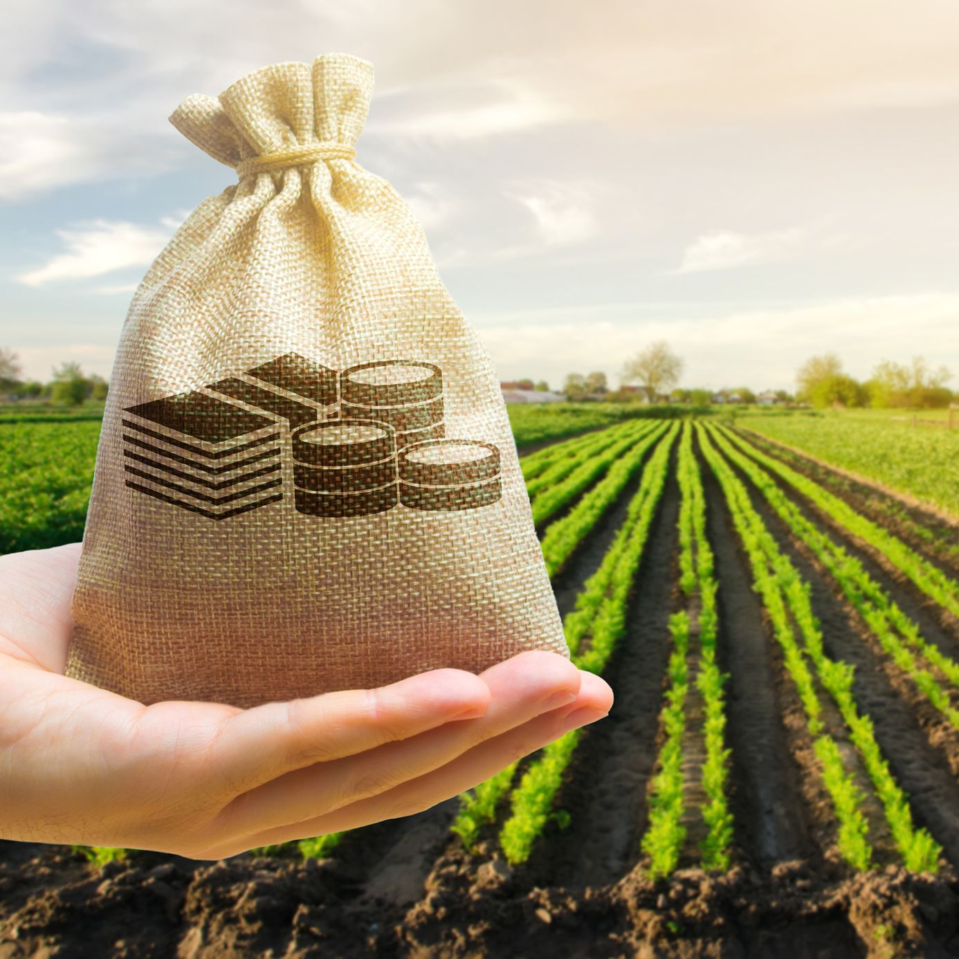 Mundo rural - PAC: Pago del saldo de la campaña 2025 - 01/12/25