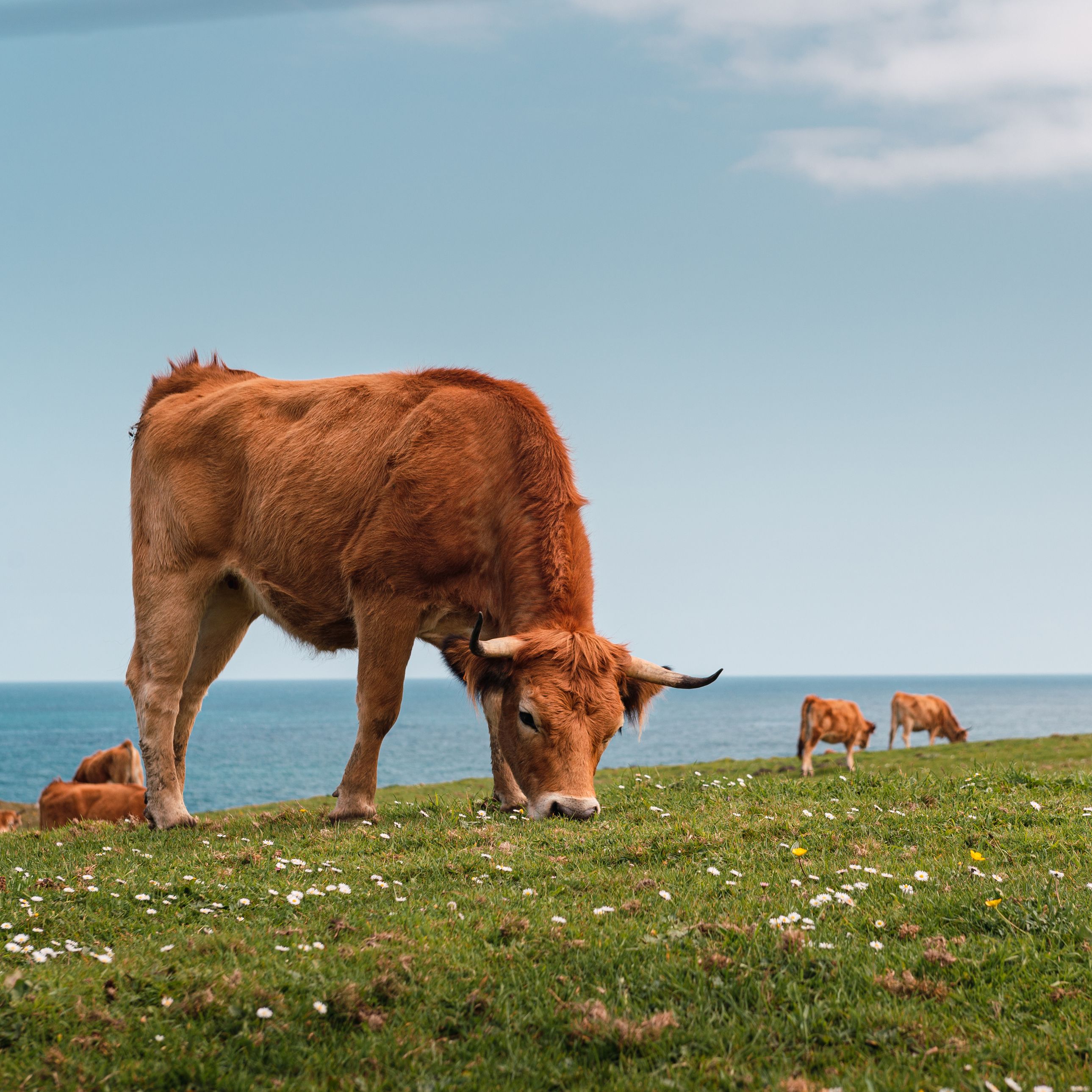 Mundo rural - PAC: Saldo de los pagos de la campaña 2025 - 08/01/25