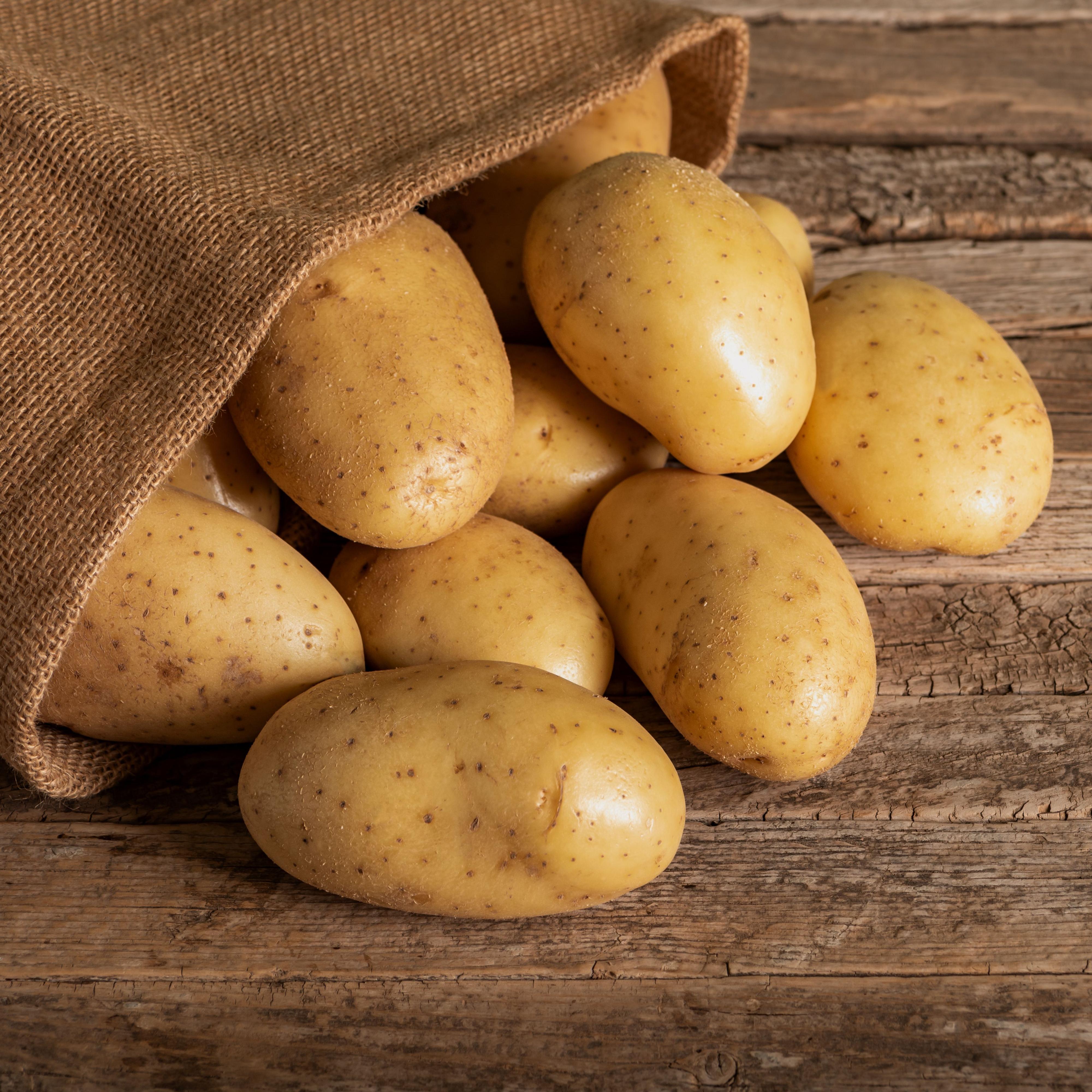 El palabrero - Papas y patatas - 30/06/26 episode artwork